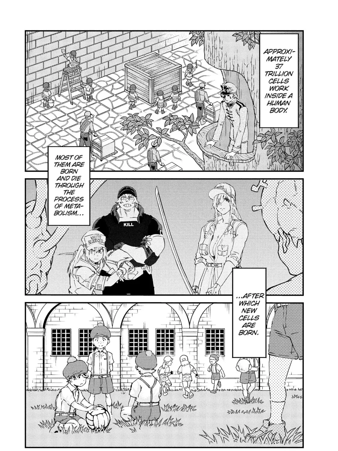 Read Cells at Work! CODE BLACK chapter 48 image 42 on Lezhin