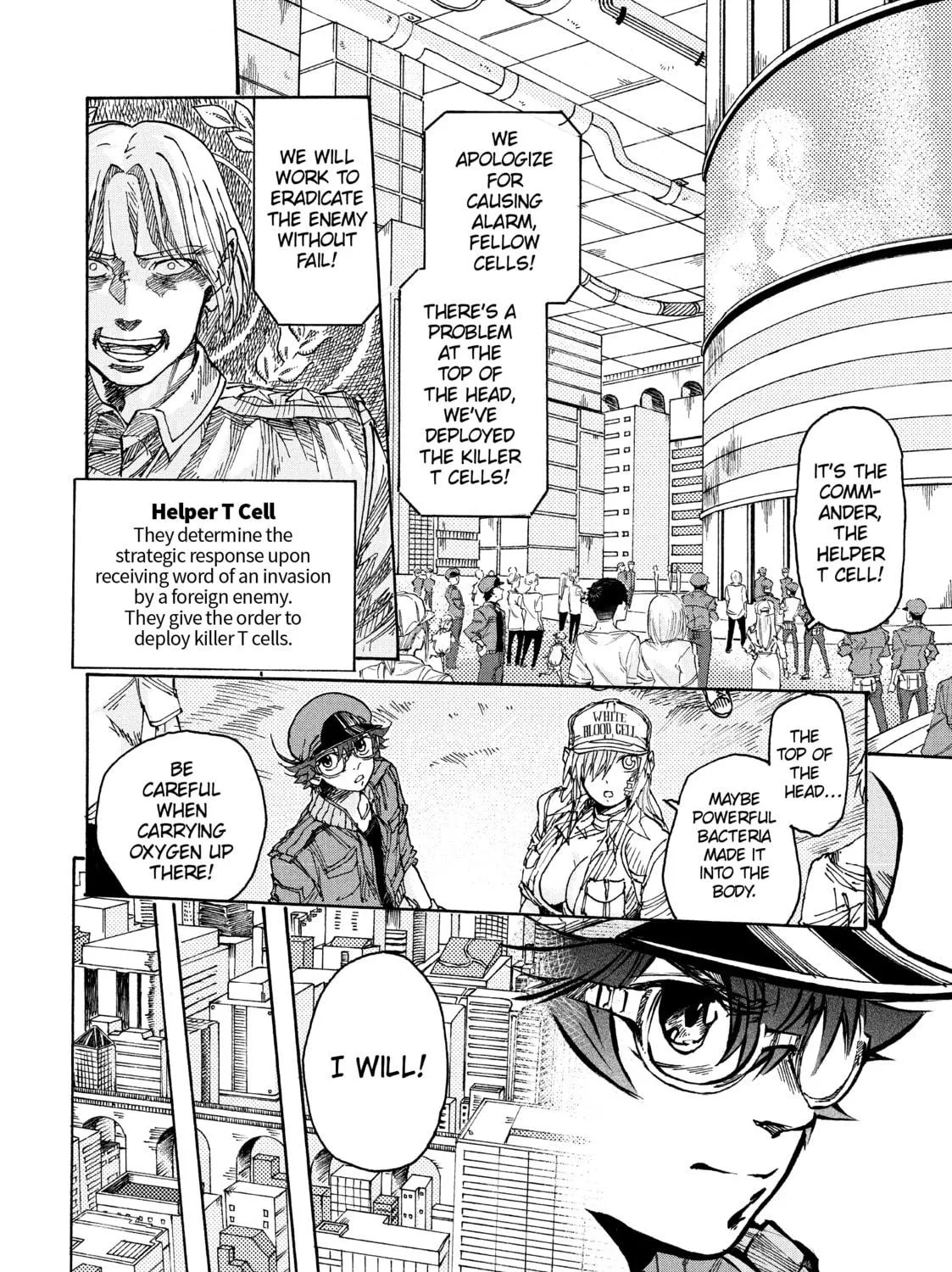 Read Cells at Work! CODE BLACK chapter 5 image 10 on Lezhin