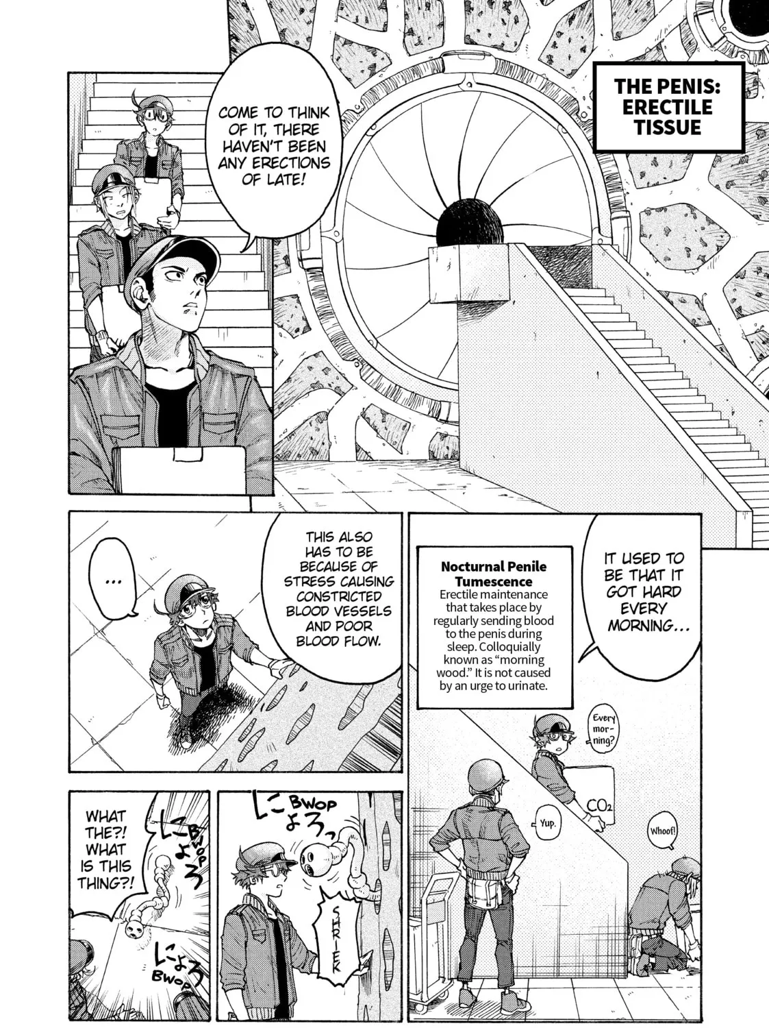 Read Cells at Work! CODE BLACK chapter 6 image 14 on Lezhin