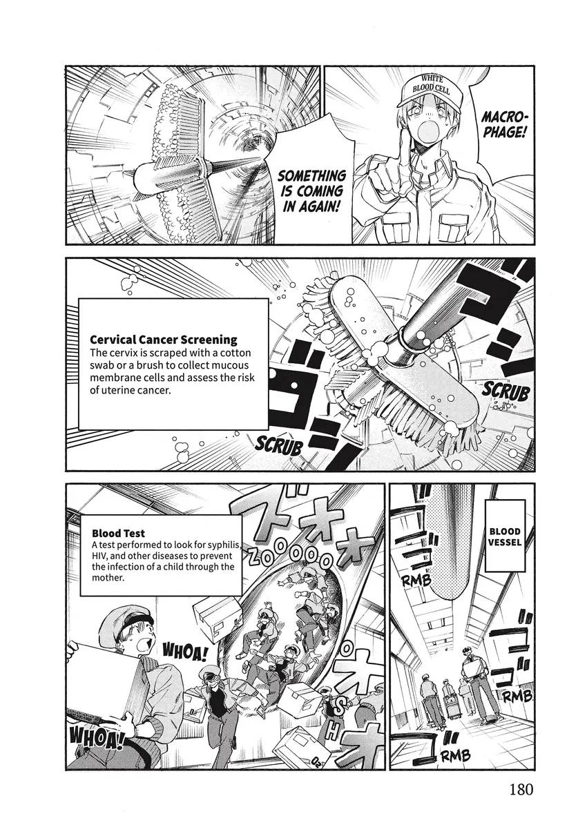 Read Cells at Work! Lady chapter 0 image 178 on Lezhin