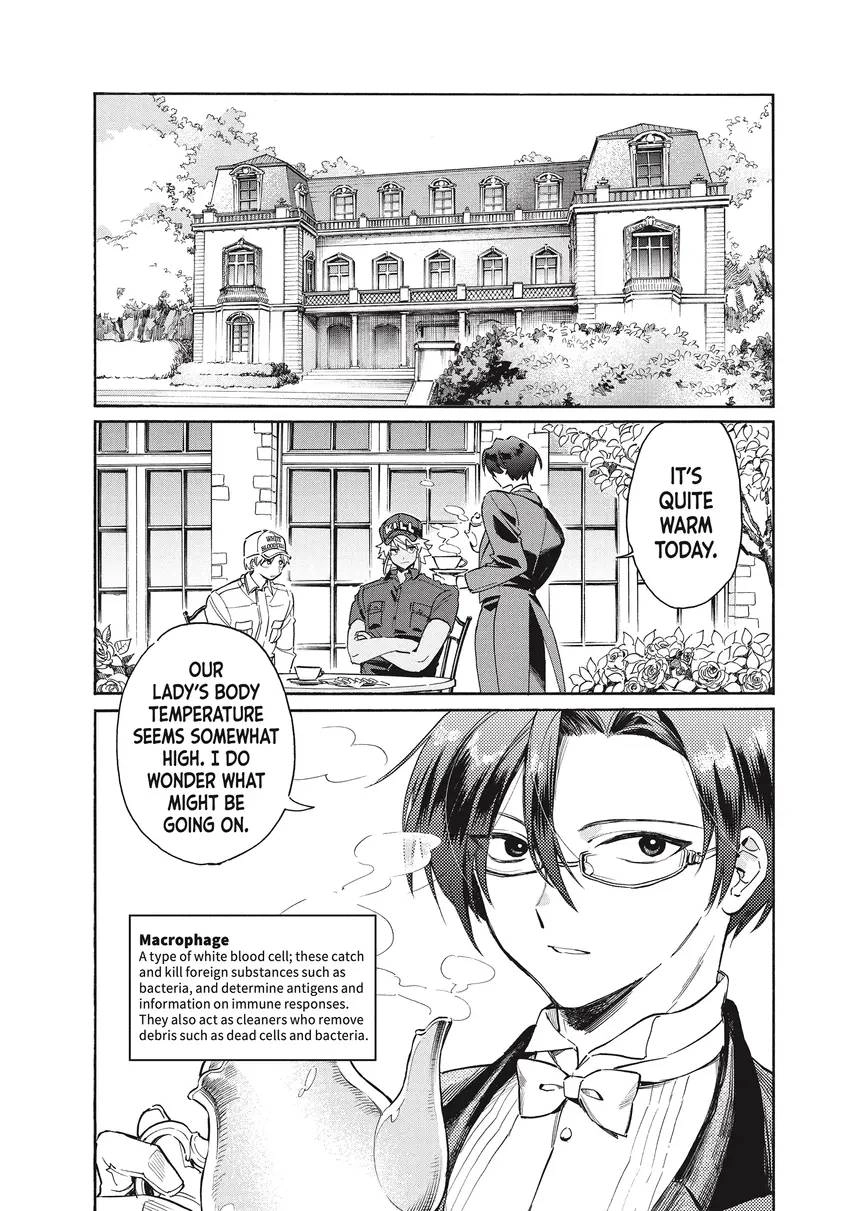Read Cells at Work! Lady chapter 0 image 40 on Lezhin