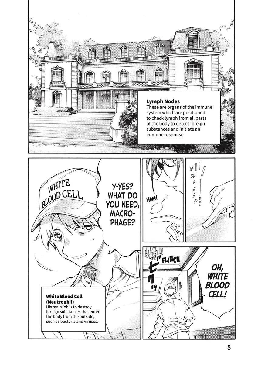 Read Cells at Work! Lady chapter 0 image 8 on Lezhin