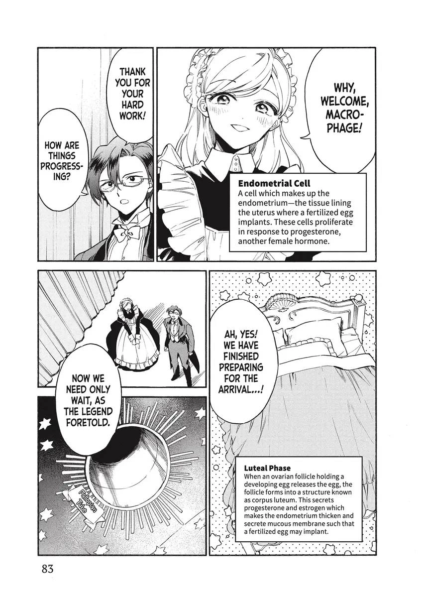 Read Cells at Work! Lady chapter 0 image 81 on Lezhin