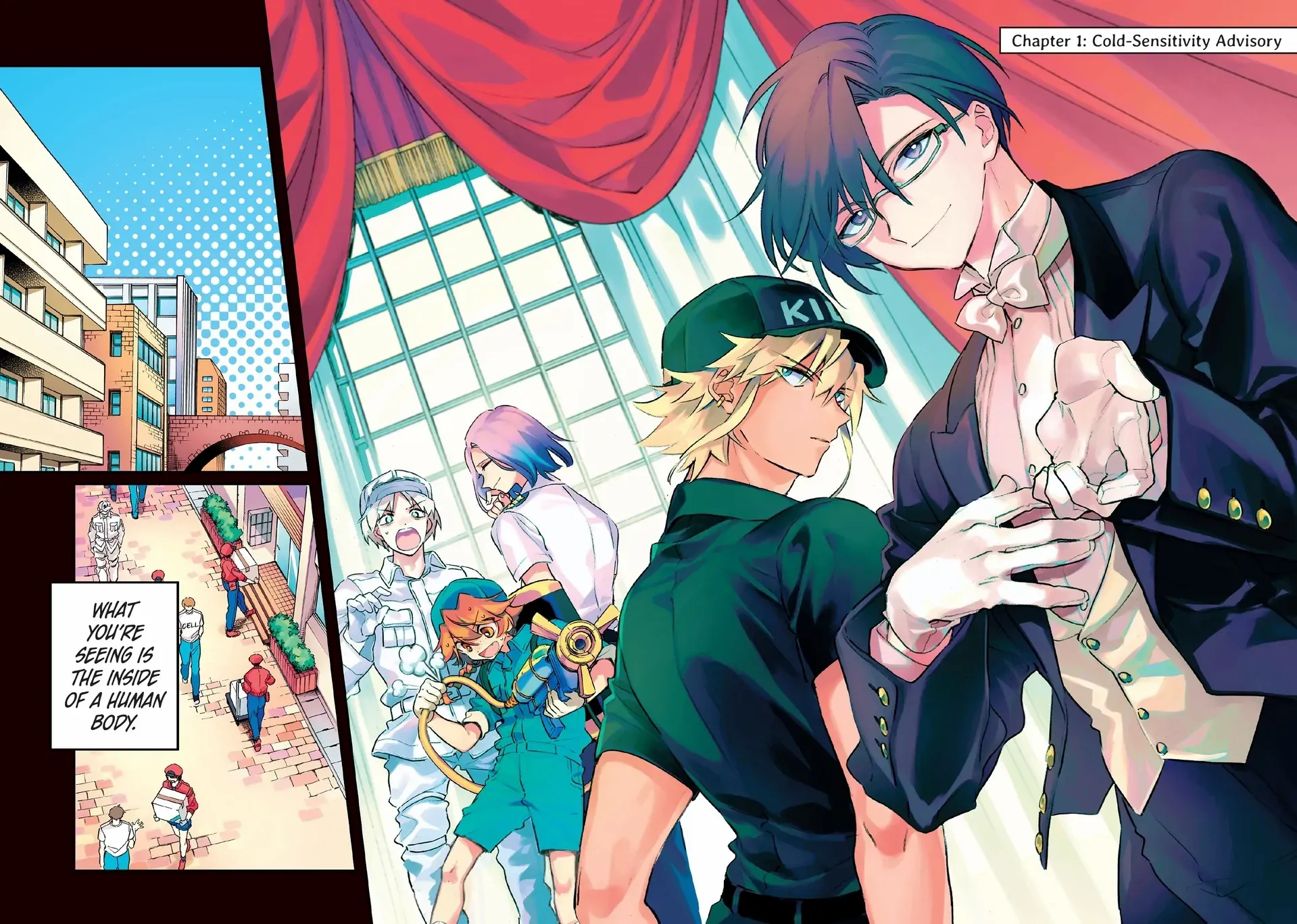 Read Cells at Work! Lady chapter 1 image 4 on Lezhin