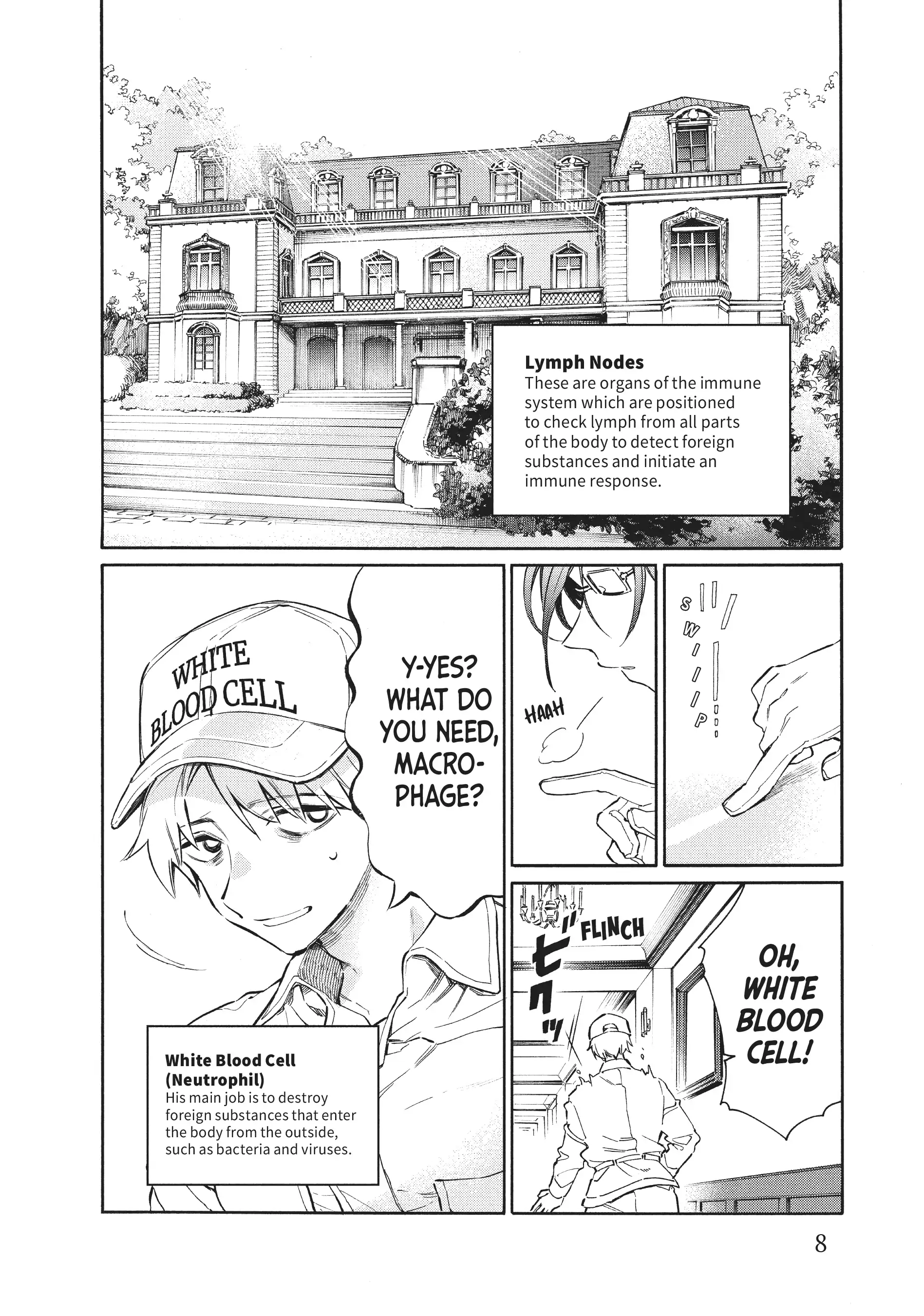 Read Cells at Work! Lady chapter 1 image 7 on Lezhin