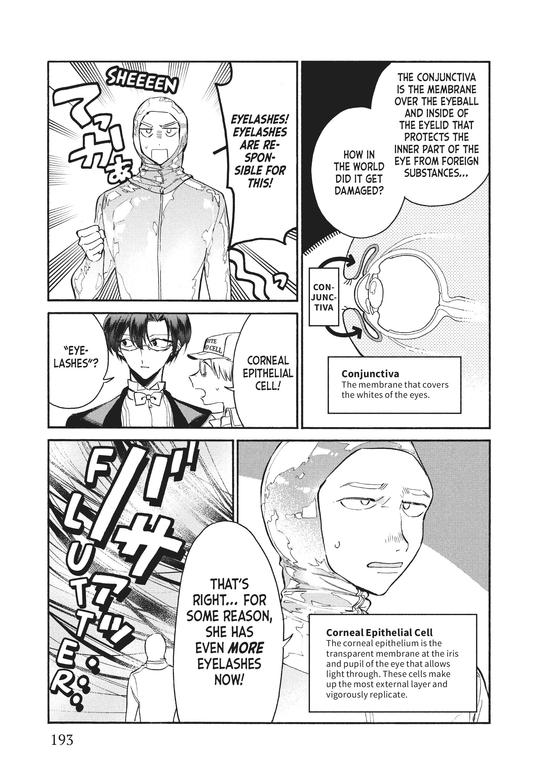Read Cells at Work! Lady chapter 10.1 image 4 on Lezhin