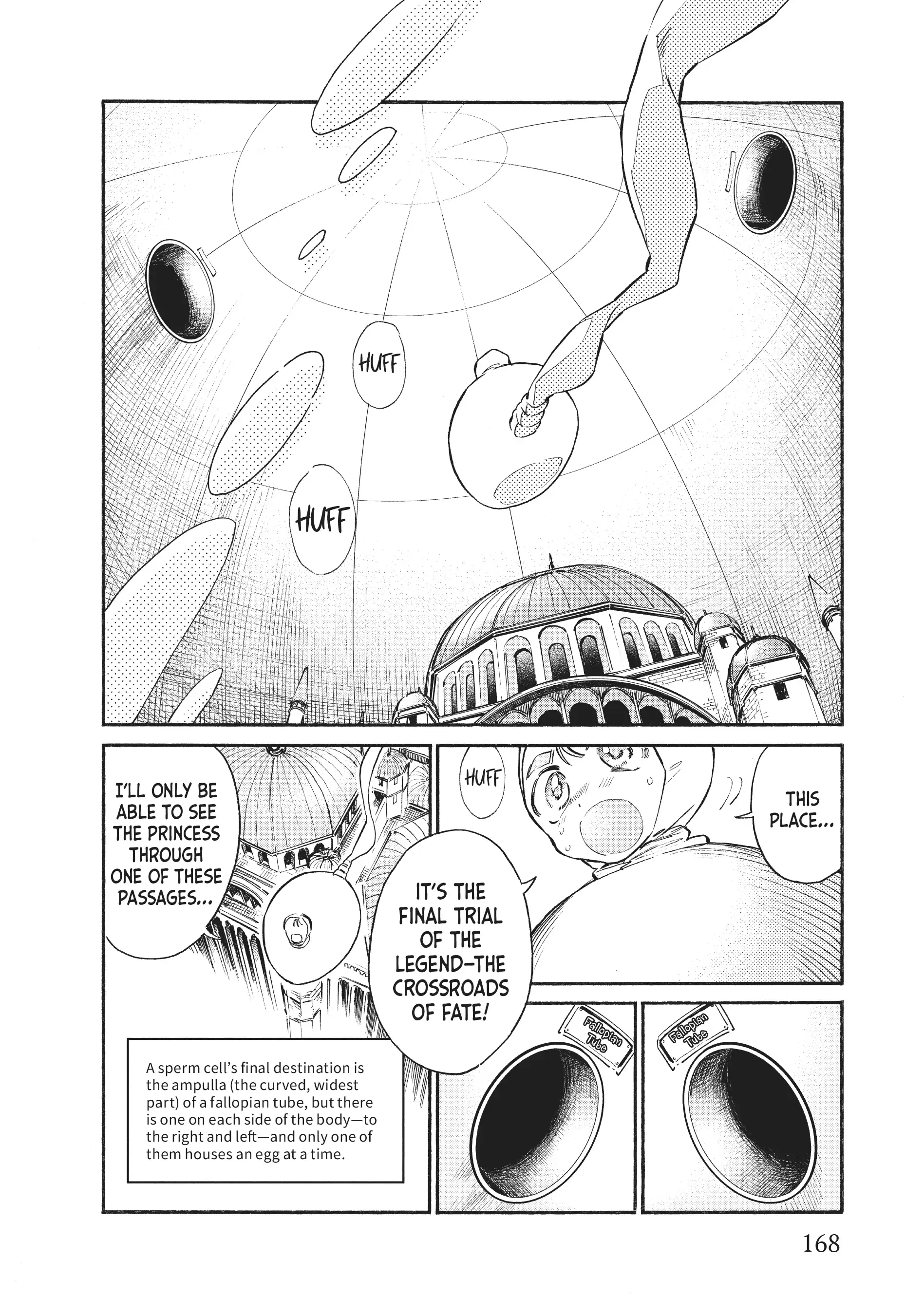 Read Cells at Work! Lady chapter 10 image 18 on Lezhin