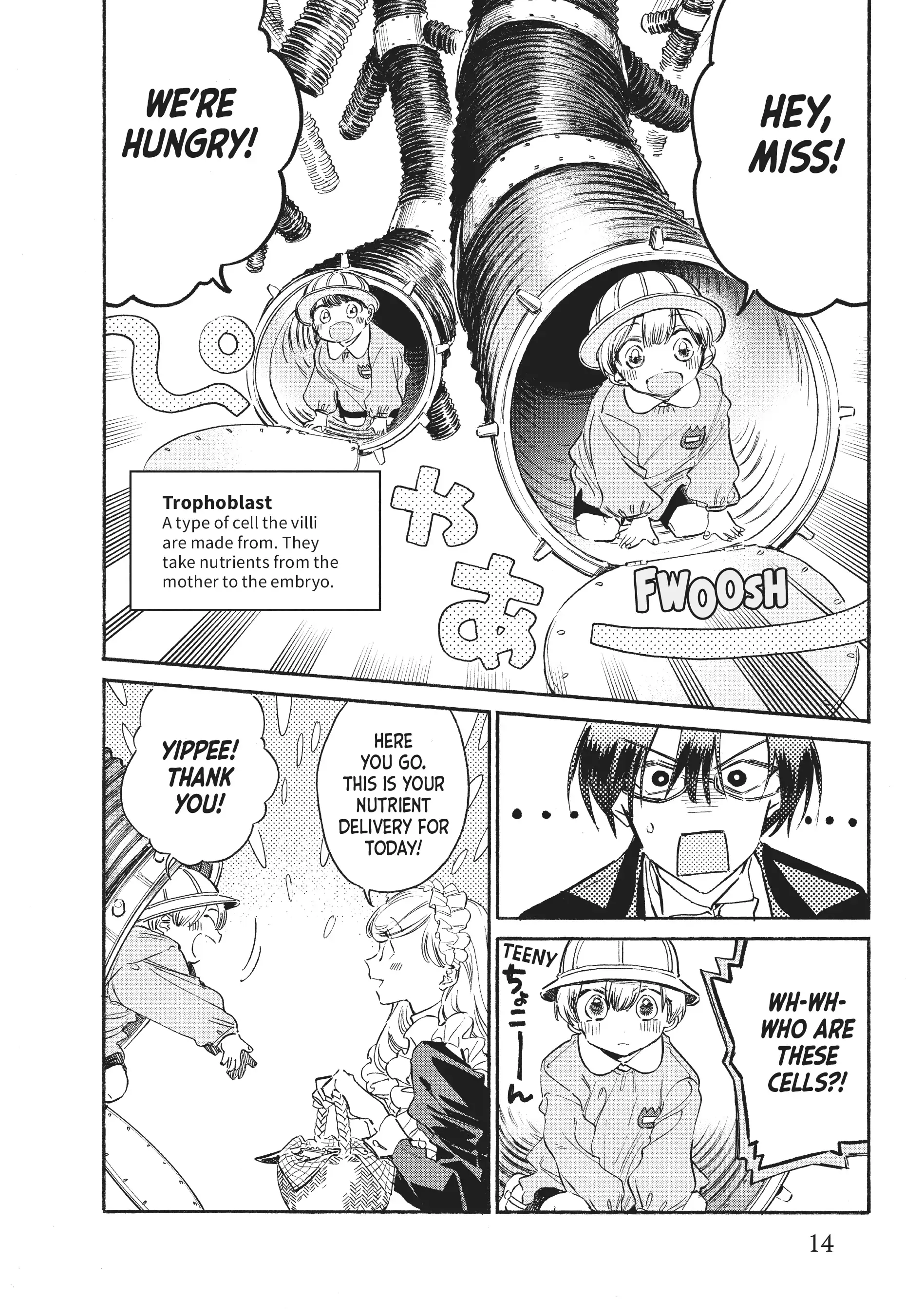 Read Cells at Work! Lady chapter 11 image 12 on Lezhin