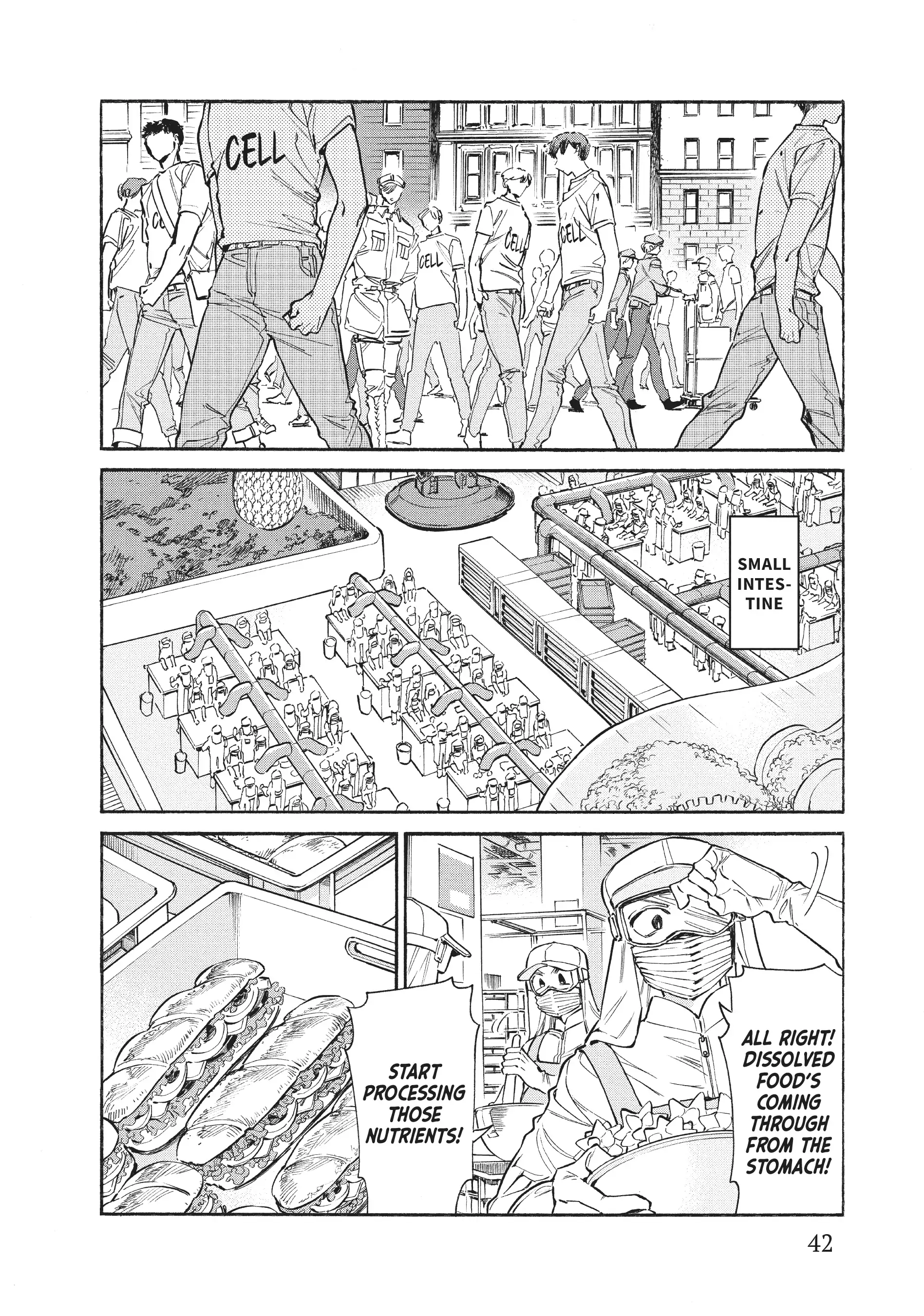 Read Cells at Work! Lady chapter 12 image 1 on Lezhin