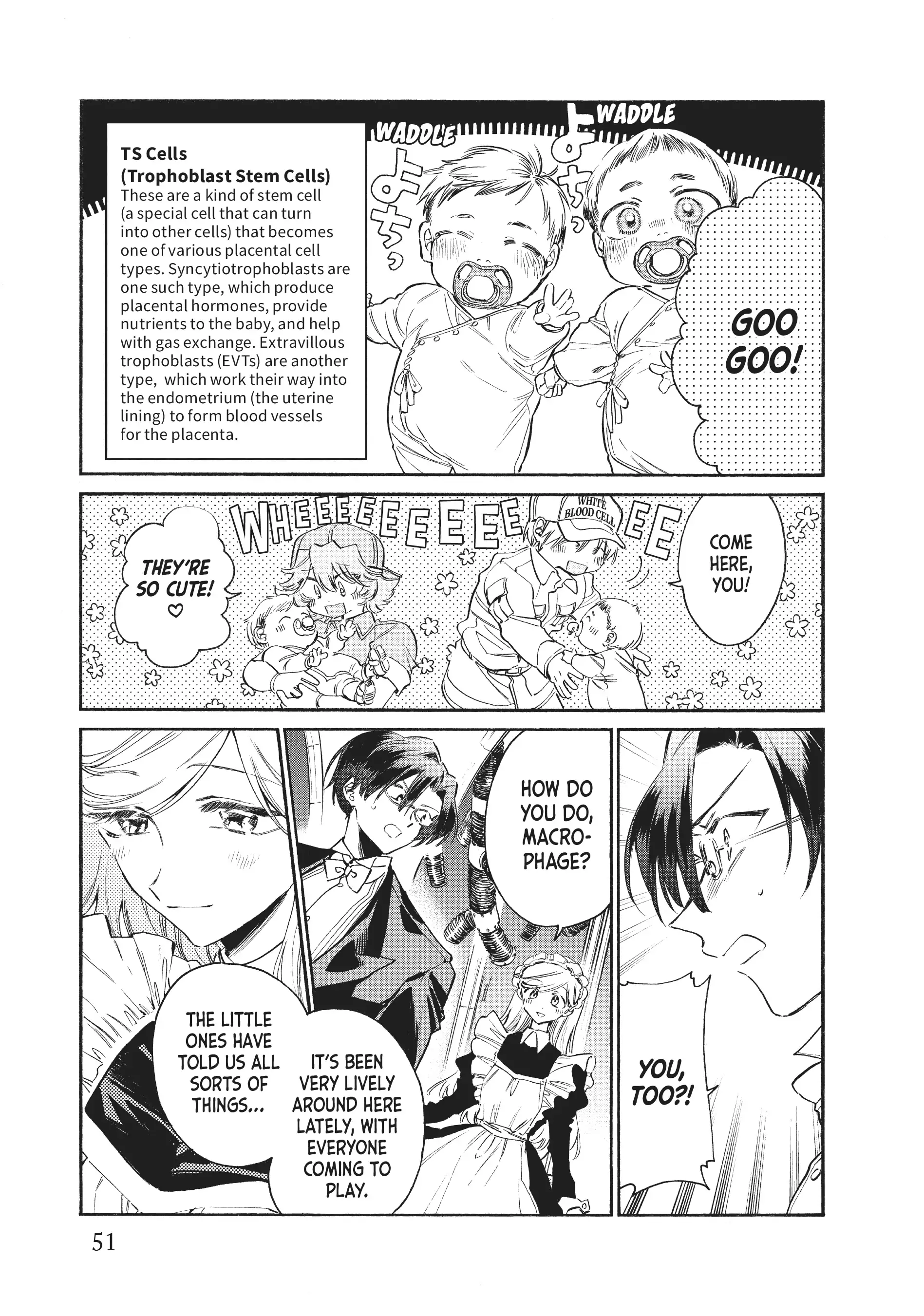 Read Cells at Work! Lady chapter 12 image 10 on Lezhin