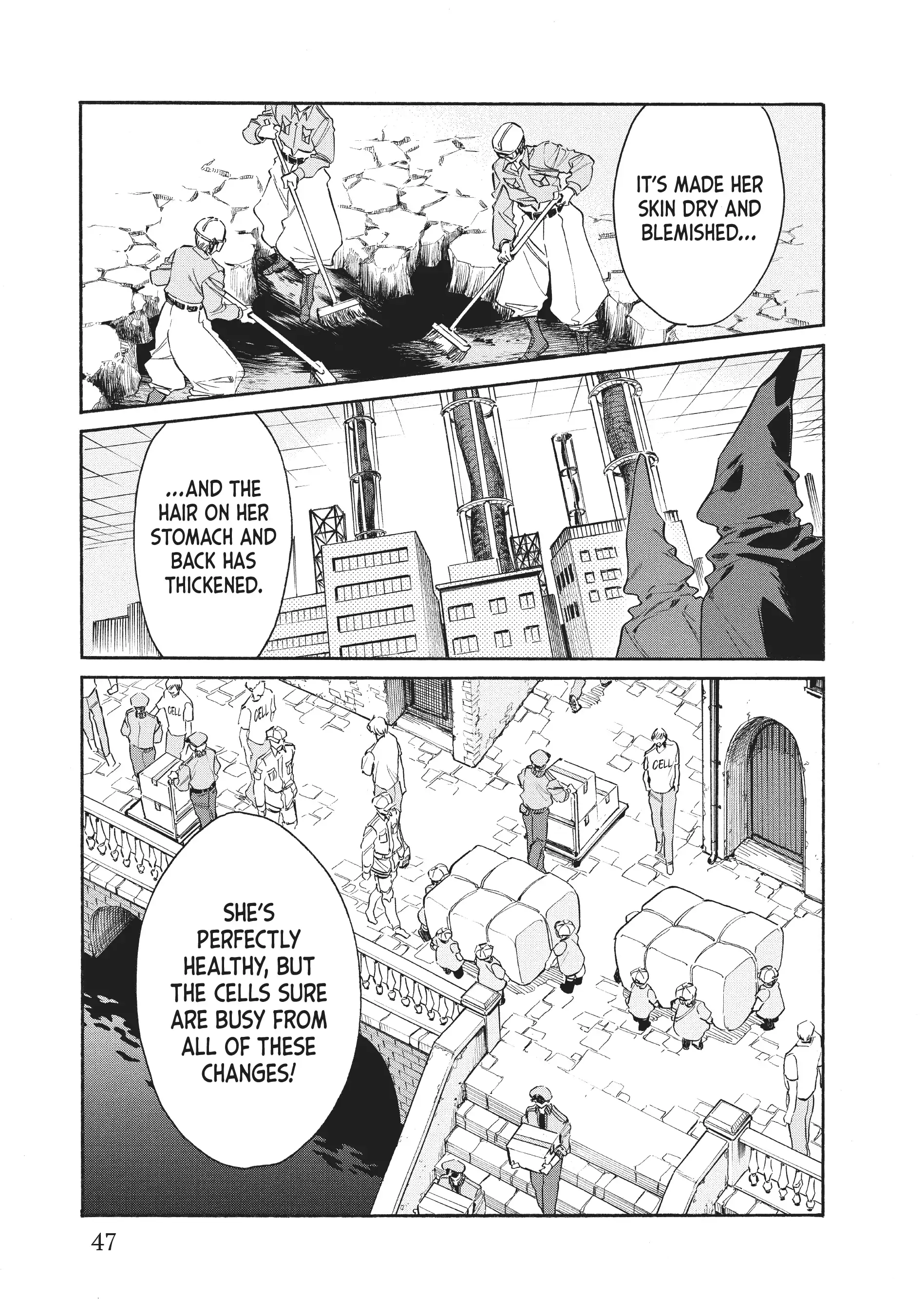 Read Cells at Work! Lady chapter 12 image 6 on Lezhin