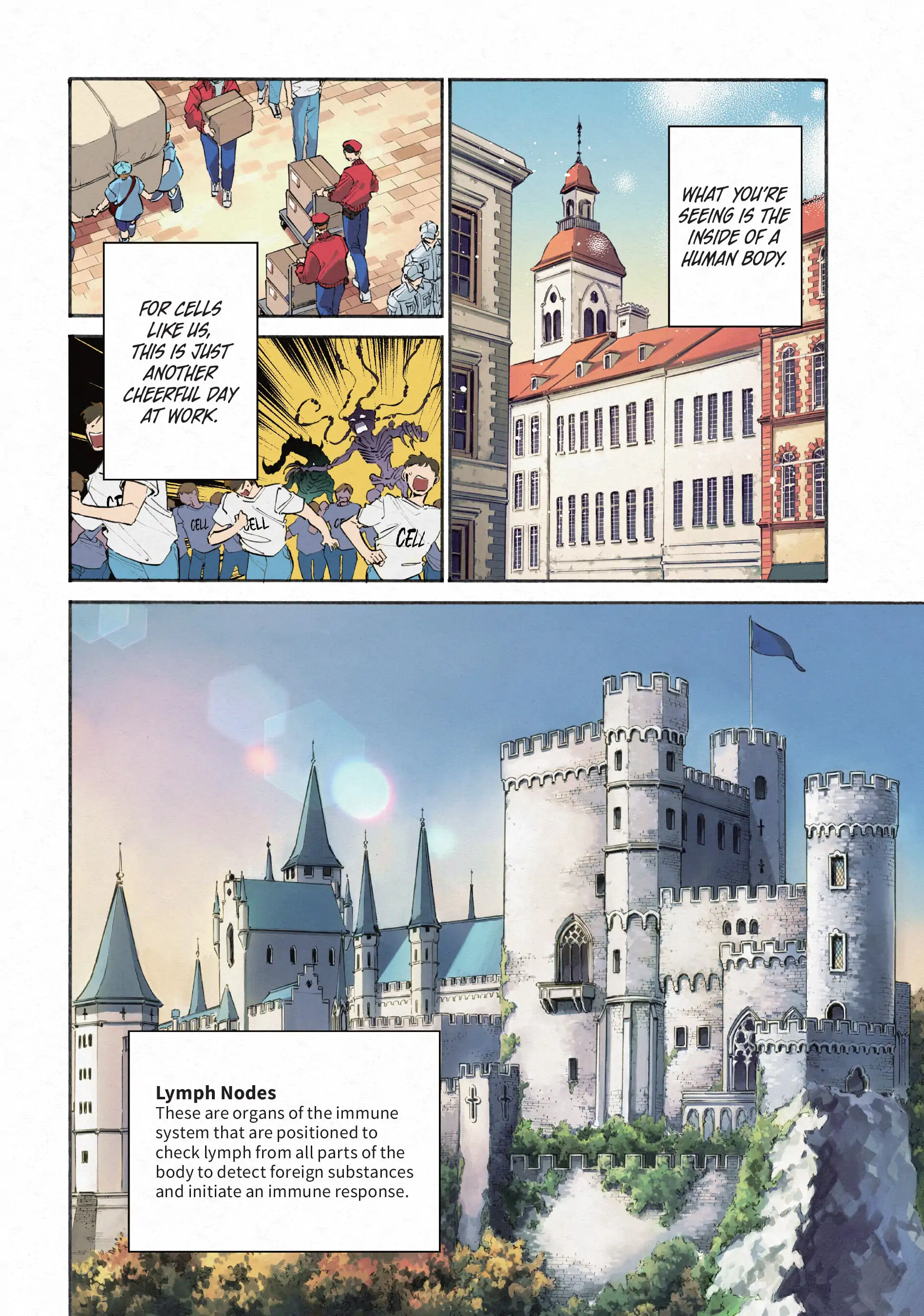 Read Cells at Work! Lady chapter 16 image 7 on Lezhin