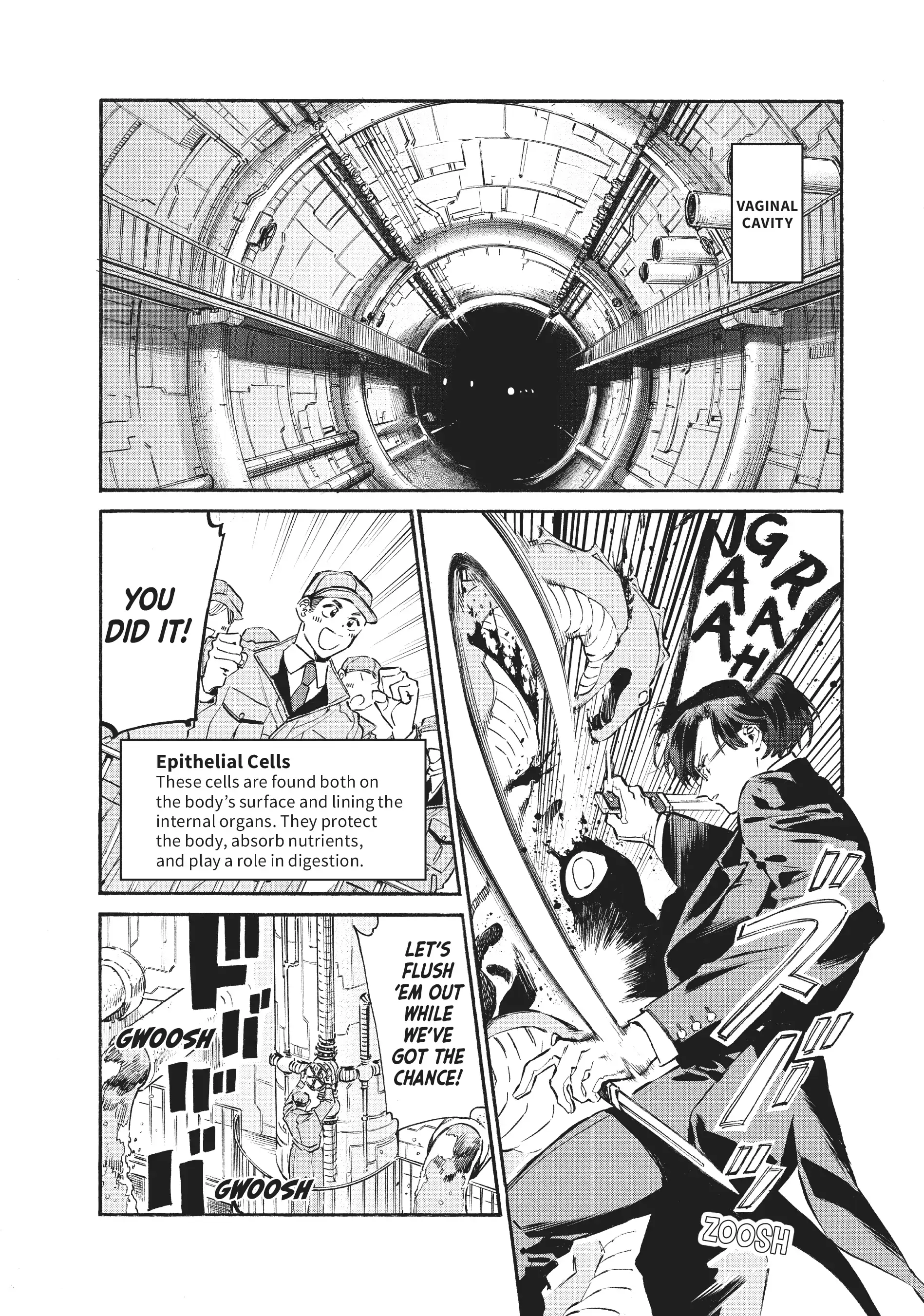 Read Cells at Work! Lady chapter 19 image 1 on Lezhin