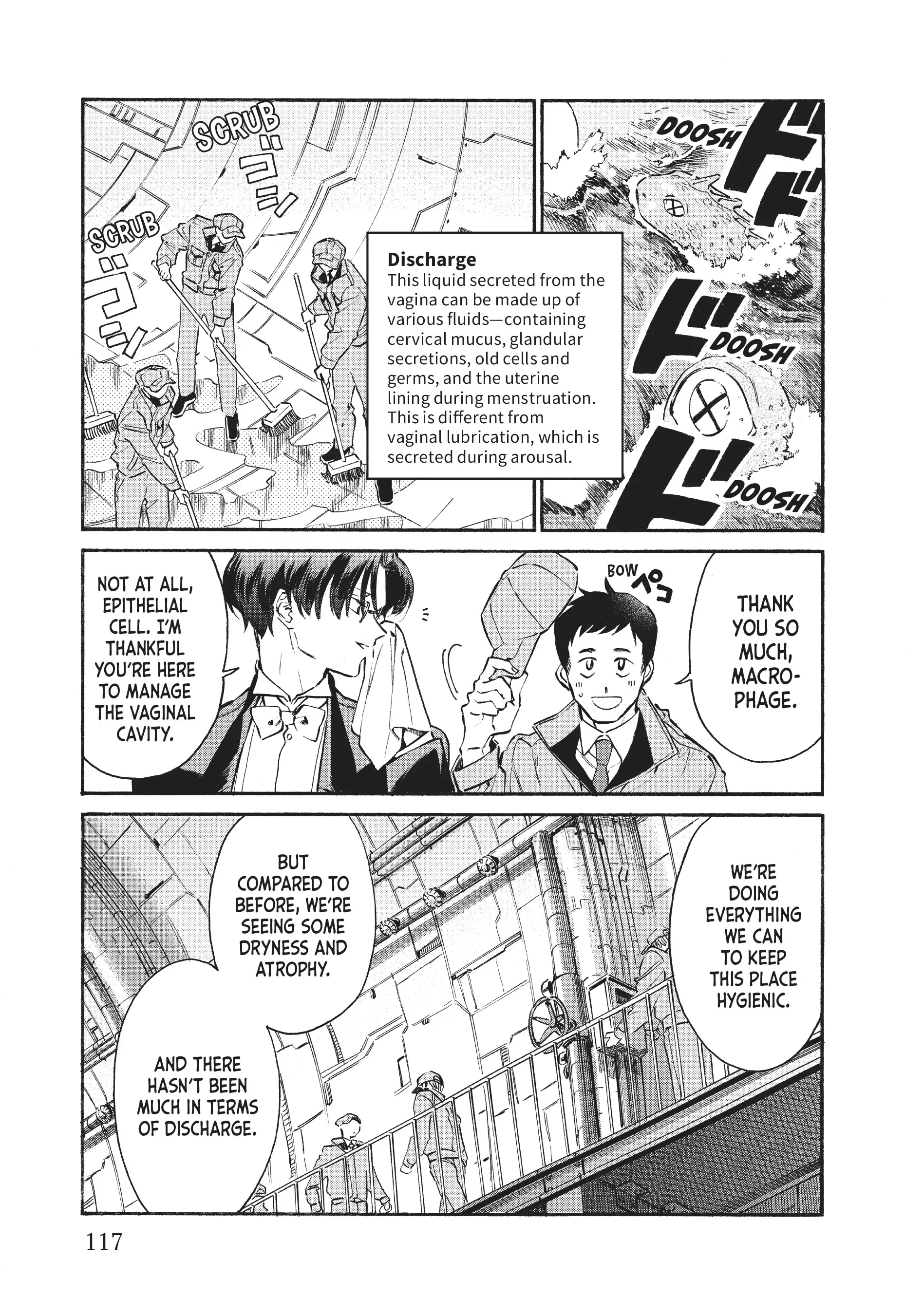 Read Cells at Work! Lady chapter 19 image 2 on Lezhin