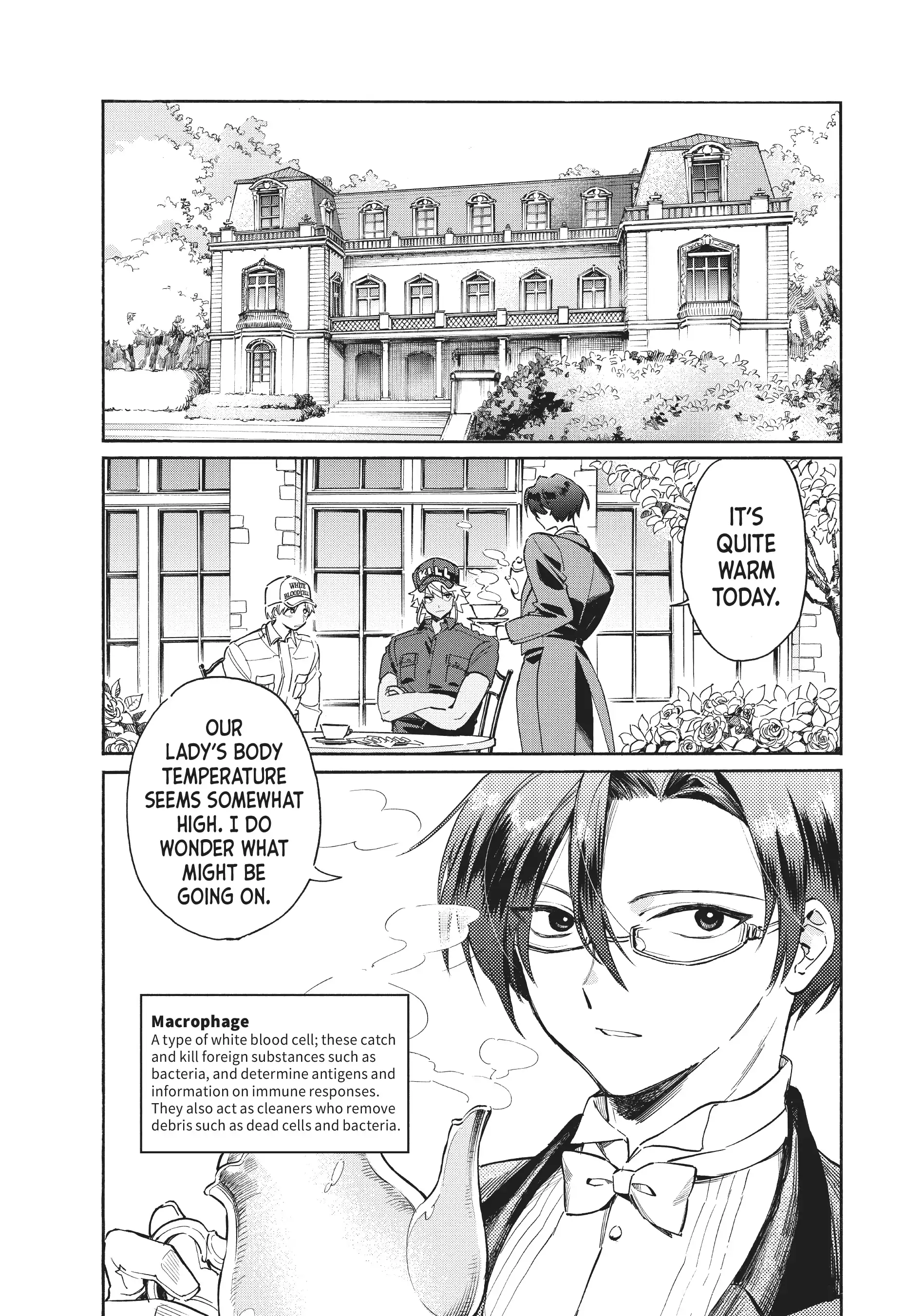 Read Cells at Work! Lady chapter 2 image 2 on Lezhin