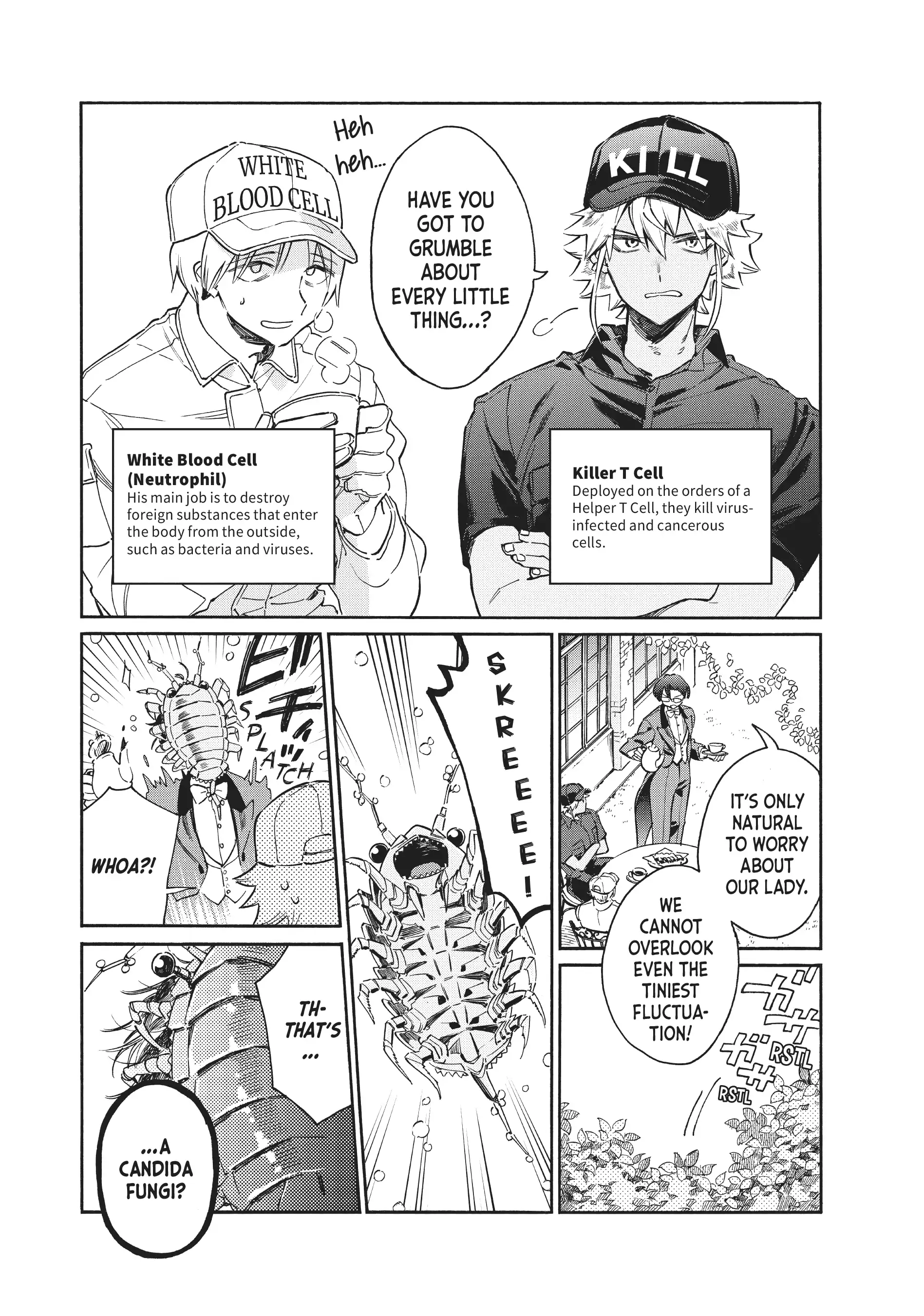 Read Cells at Work! Lady chapter 2 image 3 on Lezhin