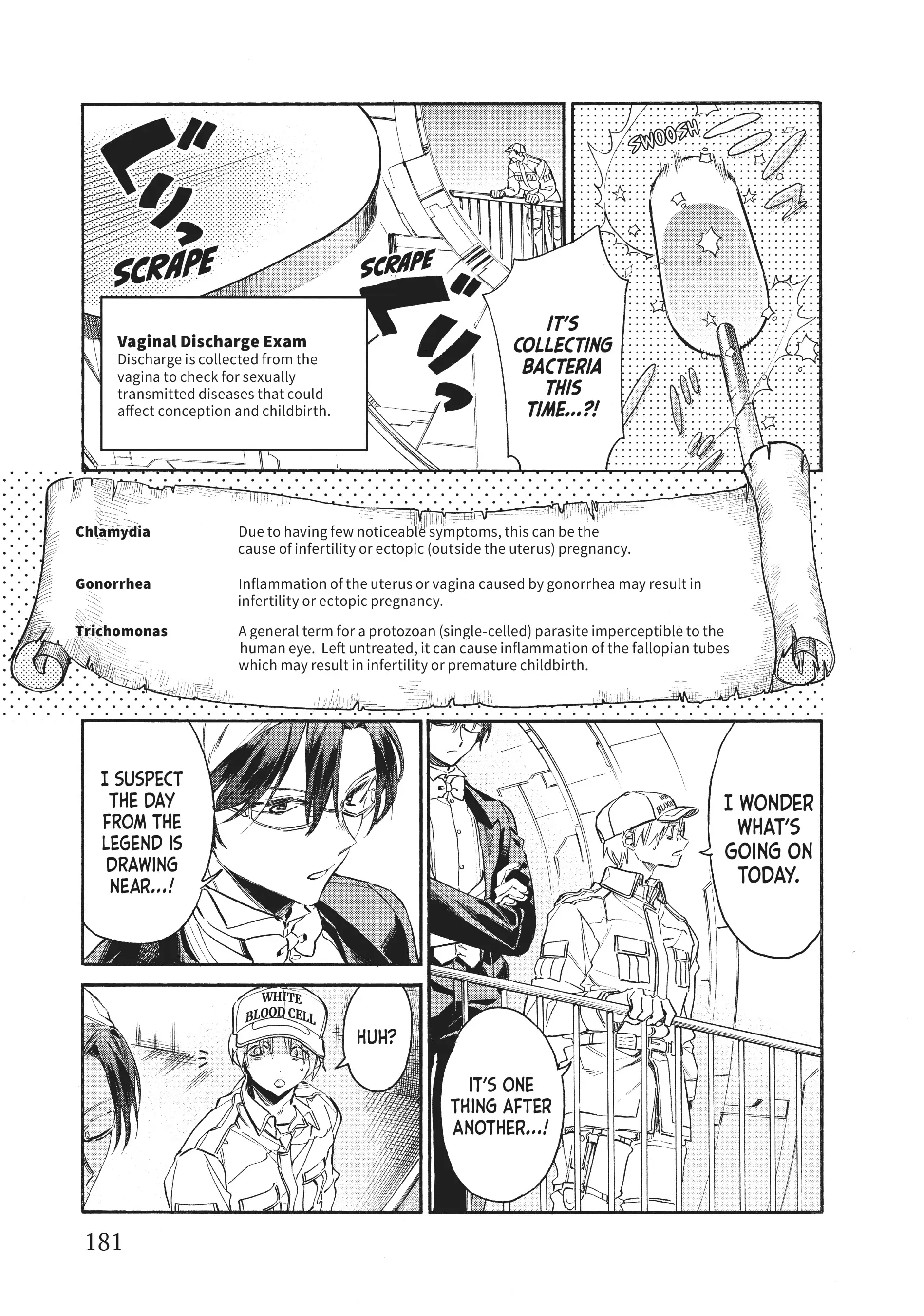 Read Cells at Work! Lady chapter 5 image 32 on Lezhin