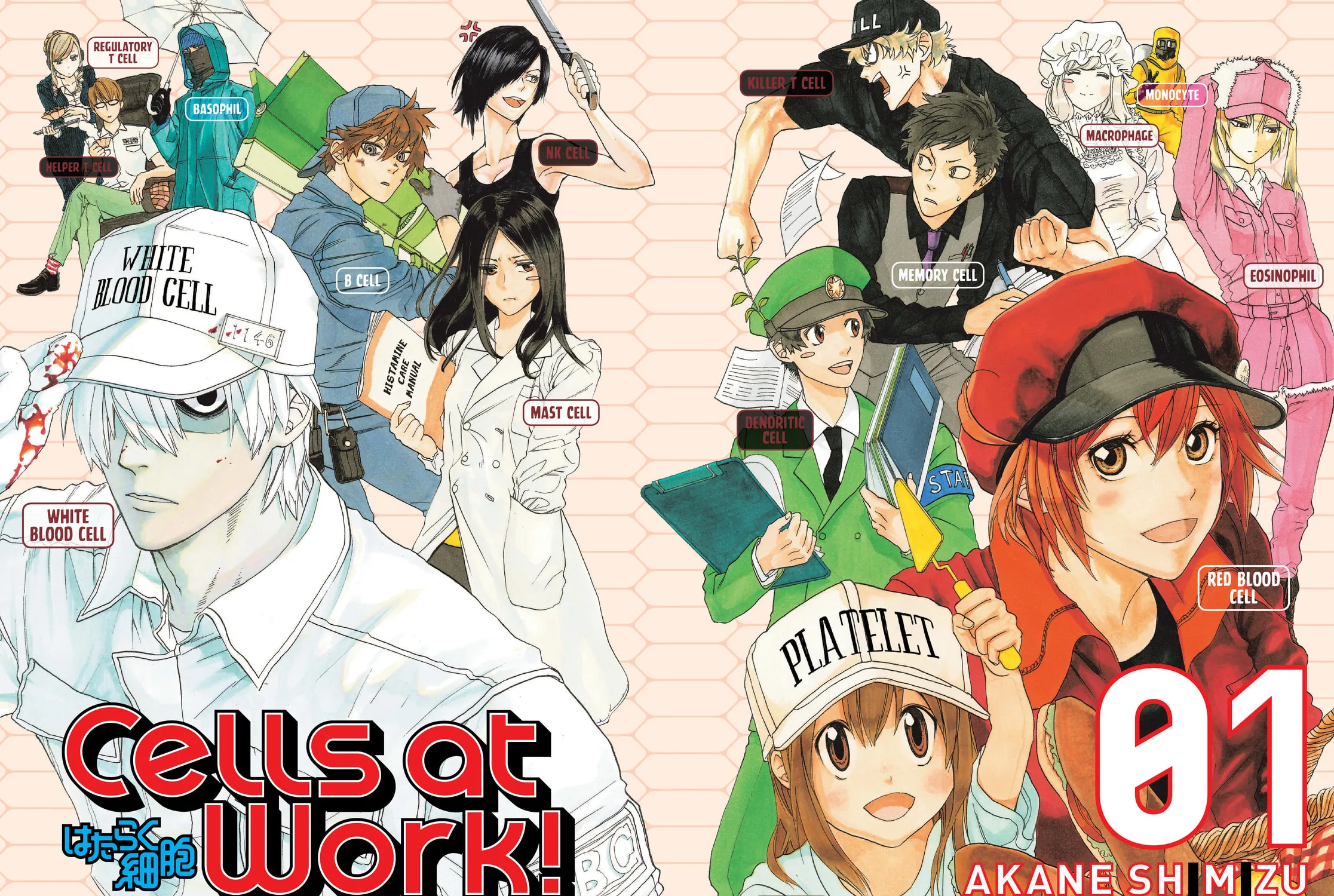 Read Cells at Work! chapter 1 image 2 on Lezhin