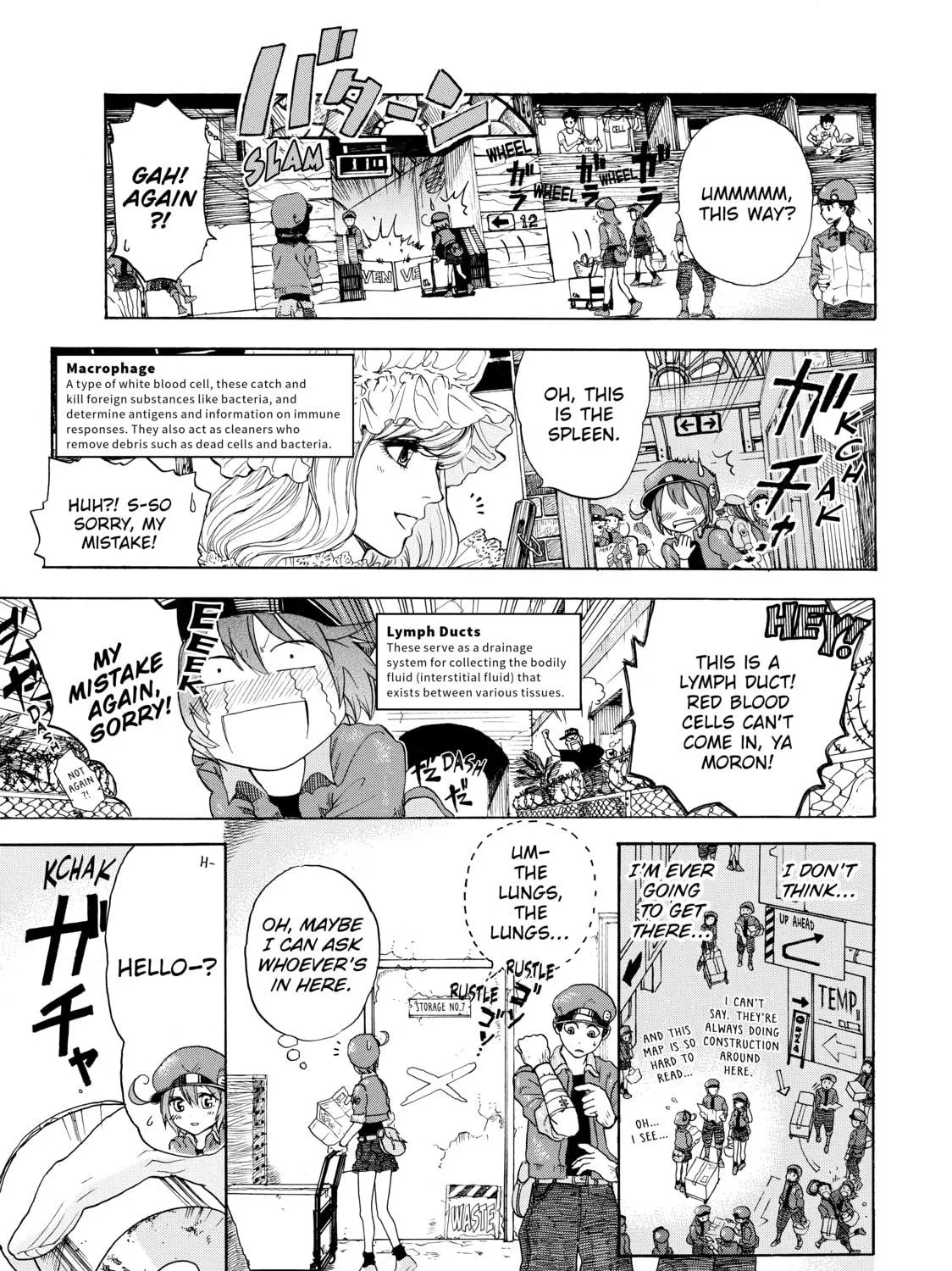 Read Cells at Work! chapter 1 image 22 on Lezhin