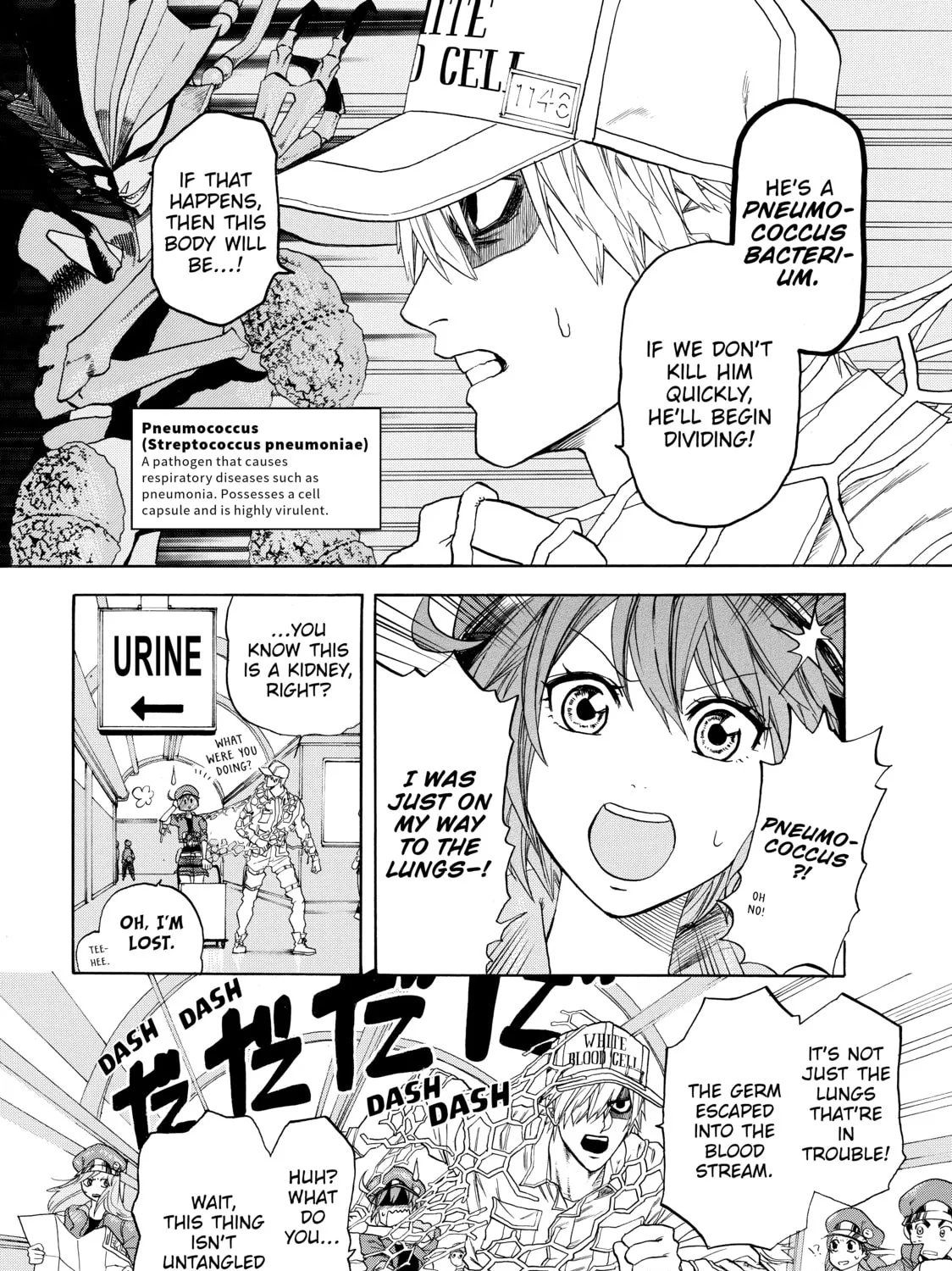 Read Cells at Work! chapter 1 image 32 on Lezhin