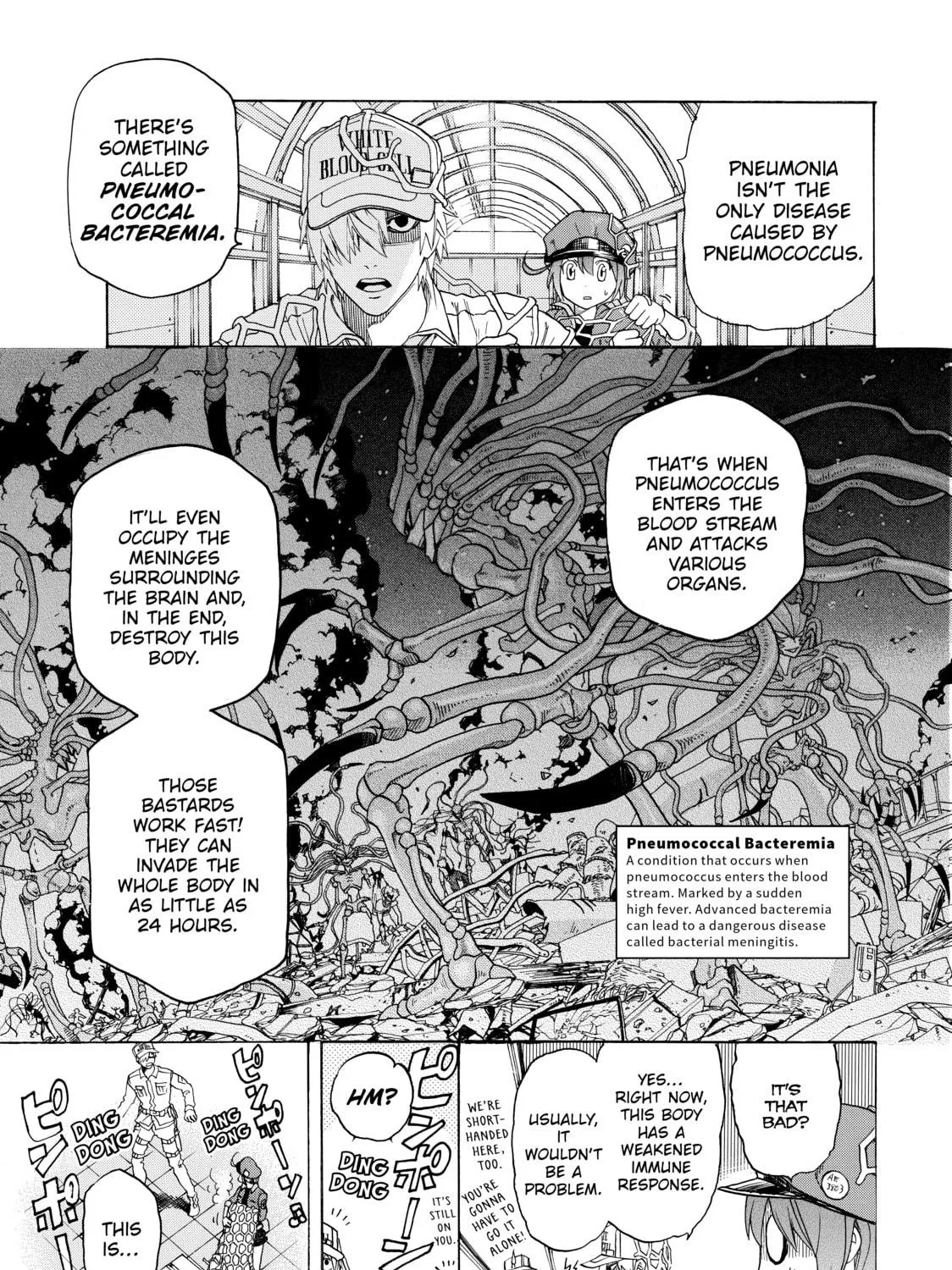 Read Cells at Work! chapter 1 image 34 on Lezhin