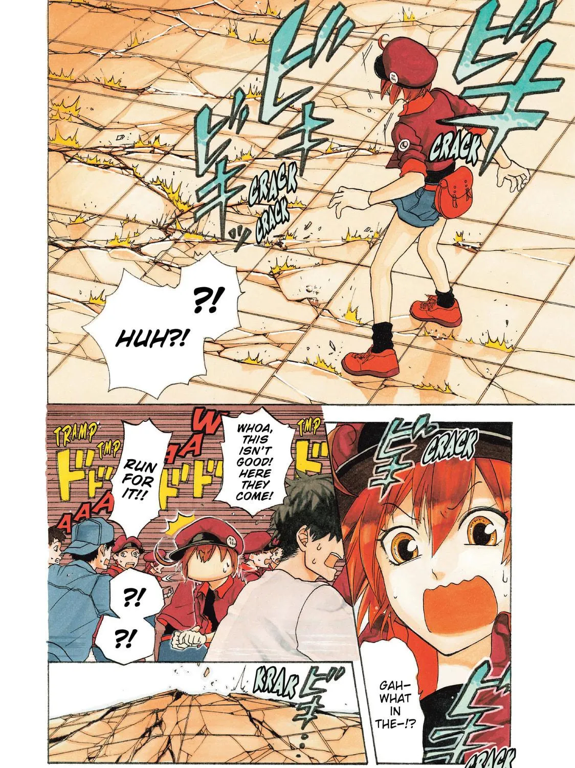 Read Cells at Work! chapter 1 image 4 on Lezhin