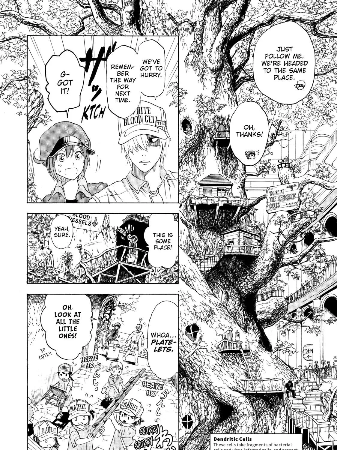 Read Cells at Work! chapter 1 image 40 on Lezhin