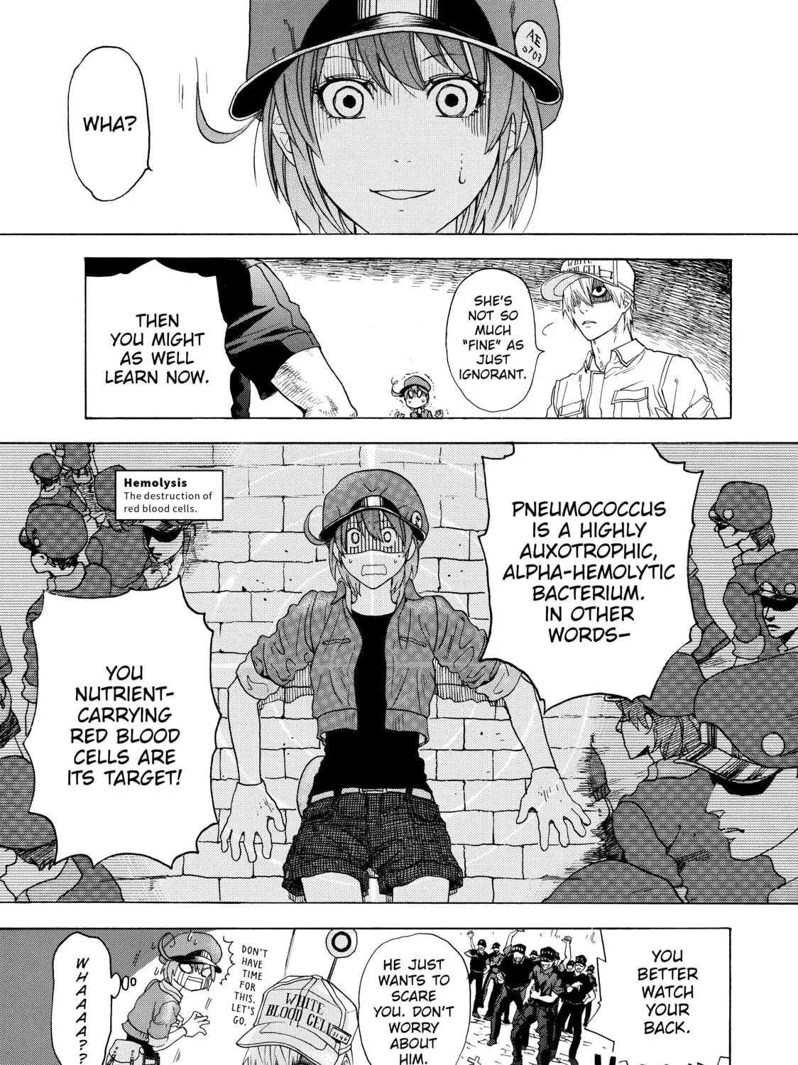 Read Cells at Work! chapter 1 image 50 on Lezhin