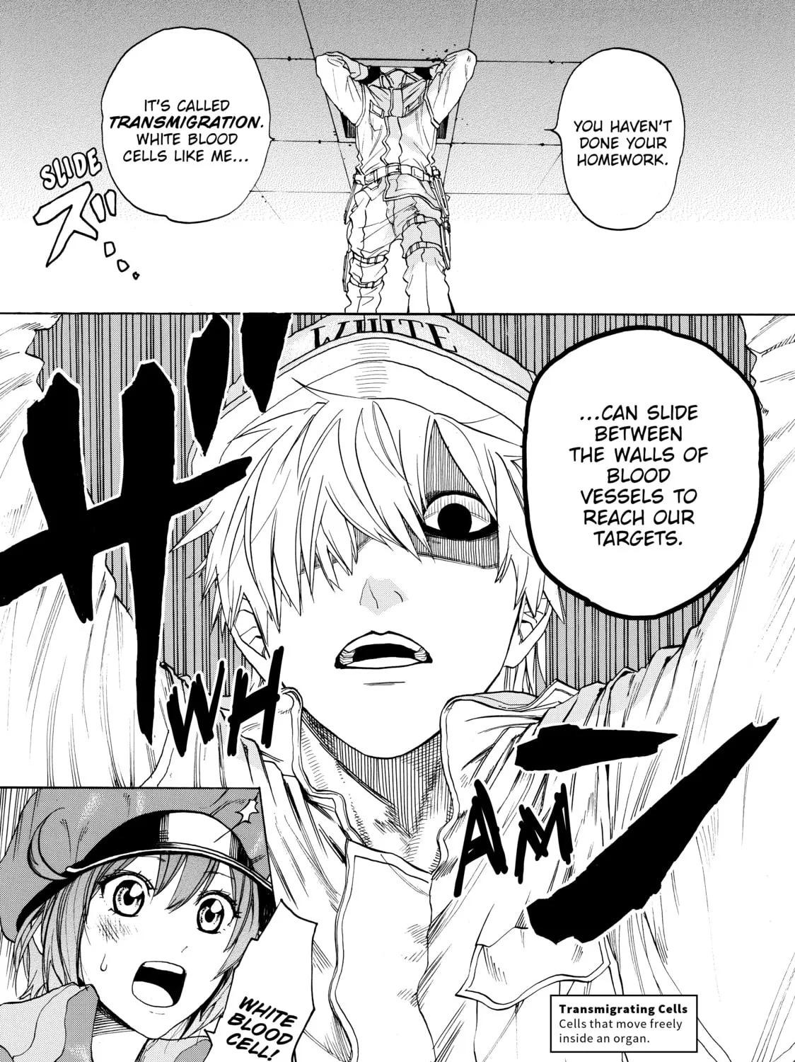 Read Cells at Work! chapter 1 image 72 on Lezhin