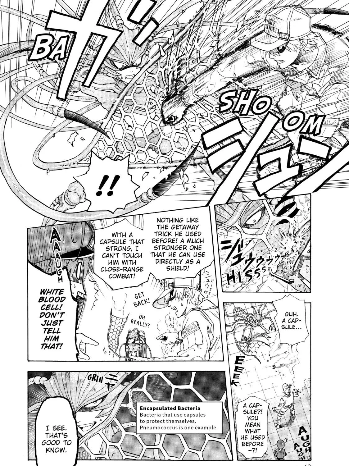 Read Cells at Work! chapter 1 image 78 on Lezhin