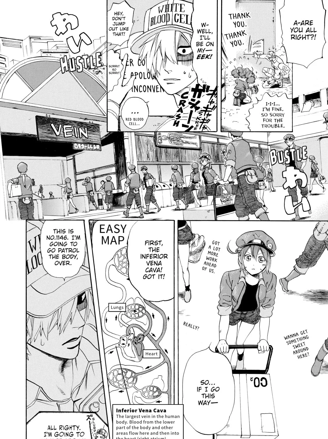 Read Cells at Work! chapter 10 image 12 on Lezhin