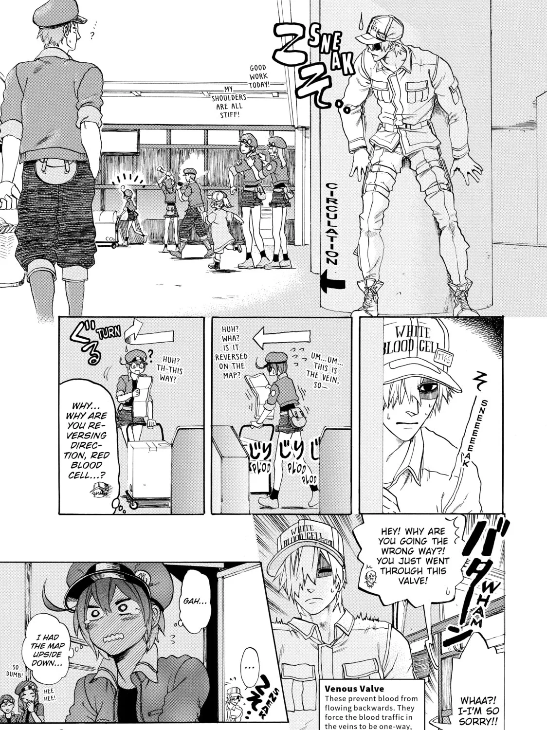 Read Cells at Work! chapter 10 image 14 on Lezhin