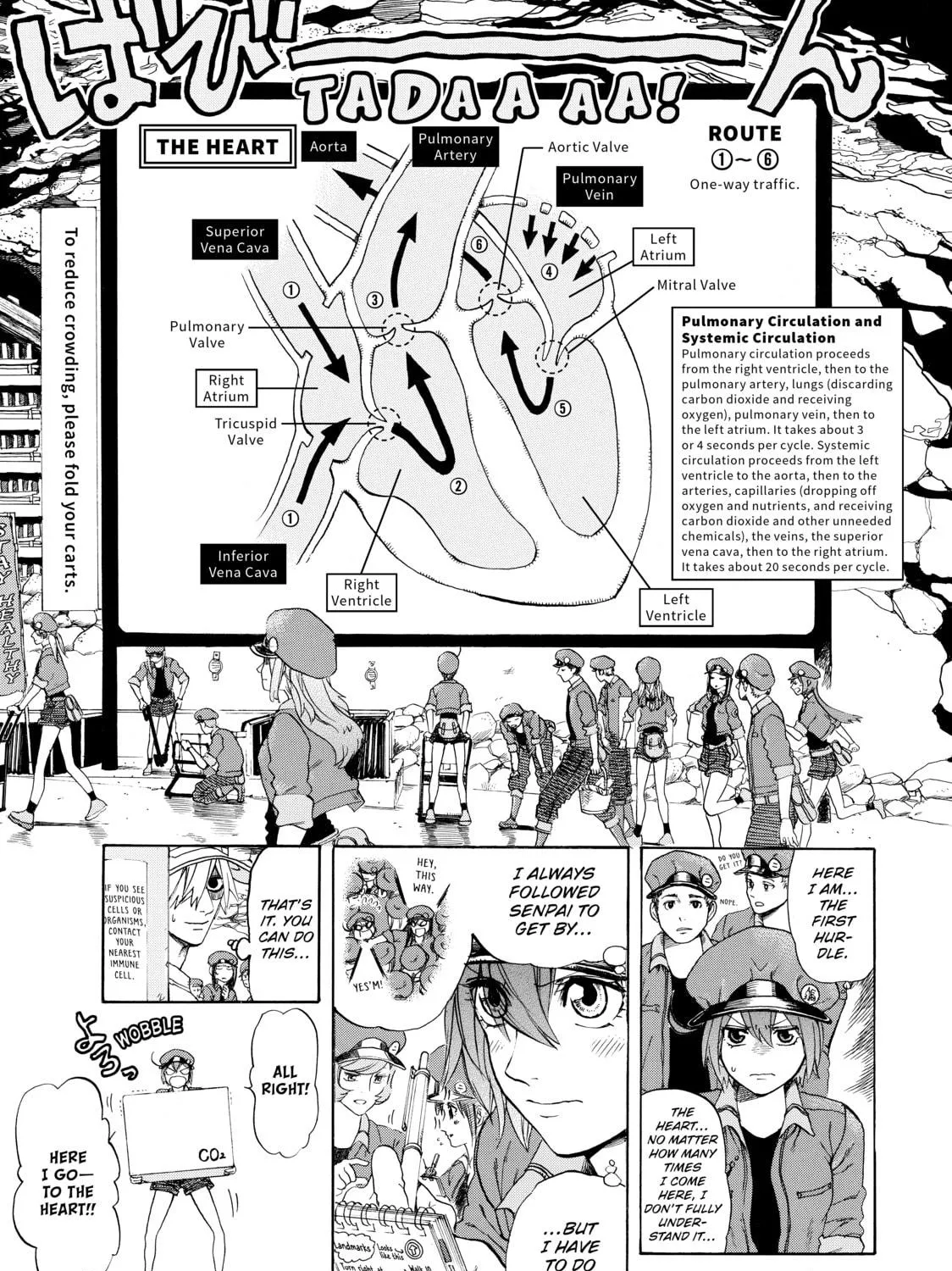 Read Cells at Work! chapter 10 image 18 on Lezhin