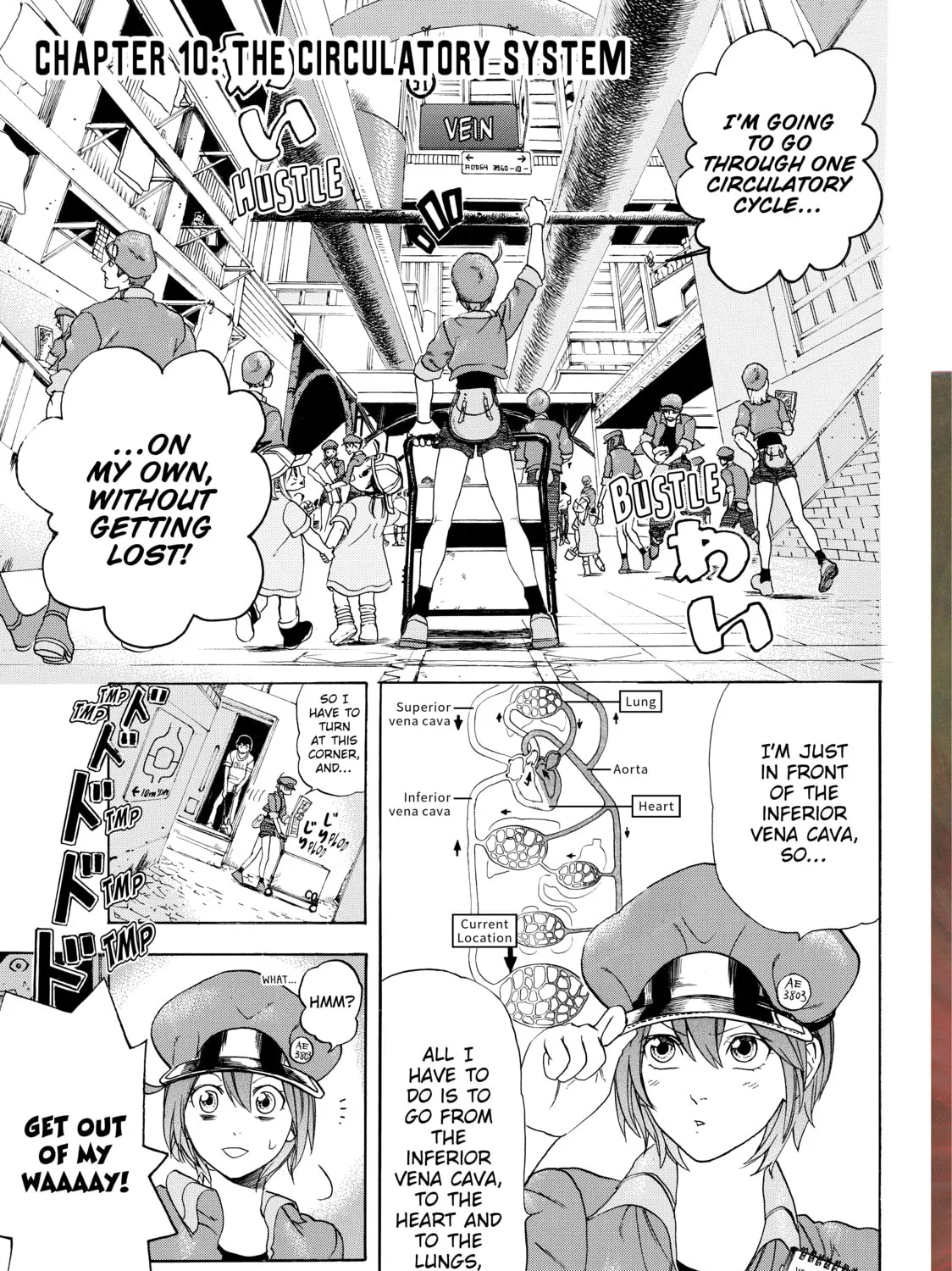 Read Cells at Work! chapter 10 image 2 on Lezhin