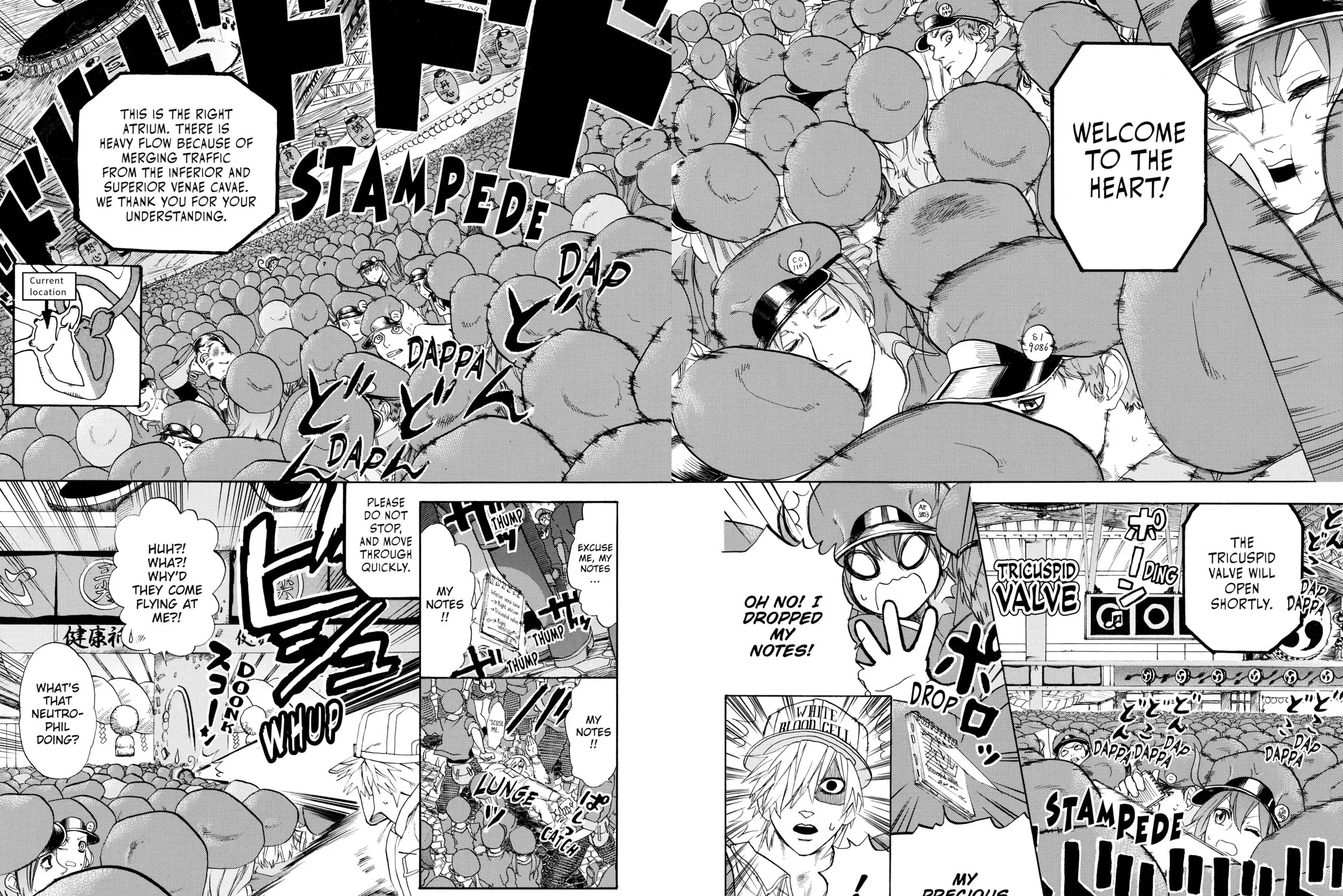 Read Cells at Work! chapter 10 image 20 on Lezhin