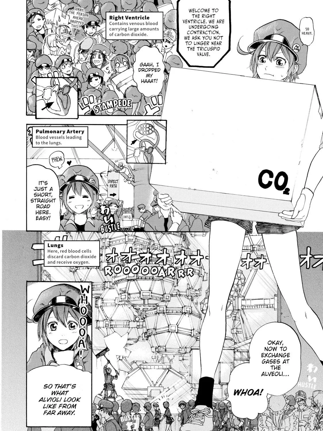 Read Cells at Work! chapter 10 image 22 on Lezhin