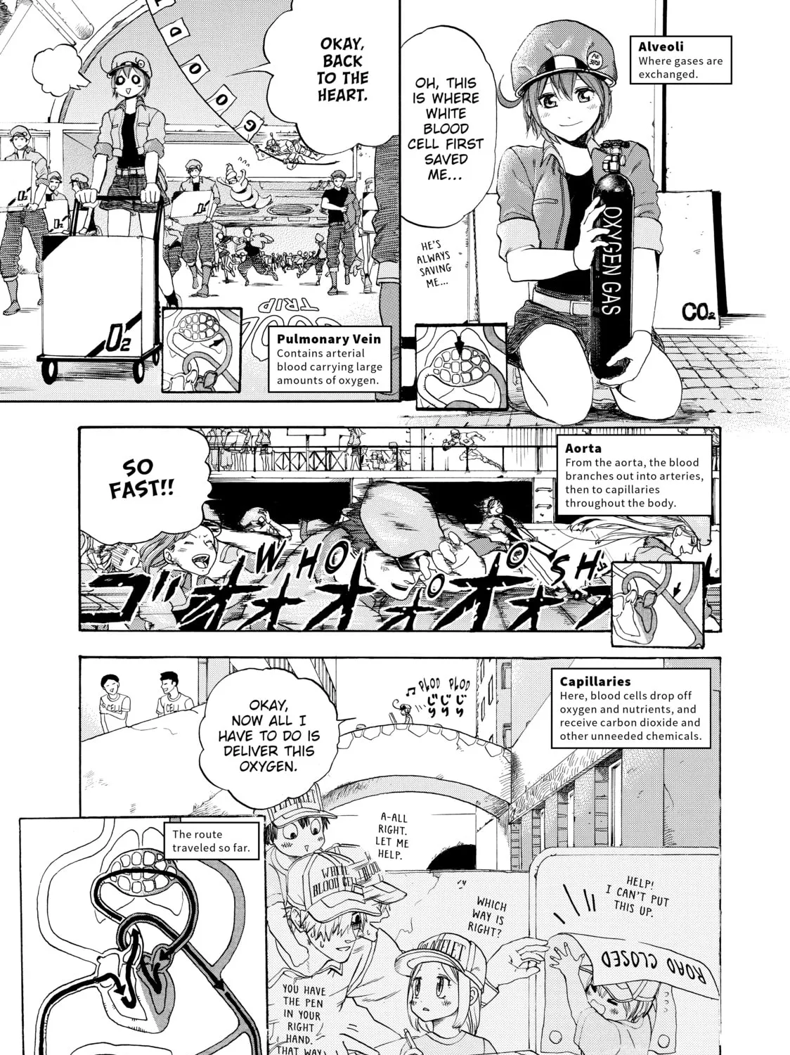 Read Cells at Work! chapter 10 image 24 on Lezhin