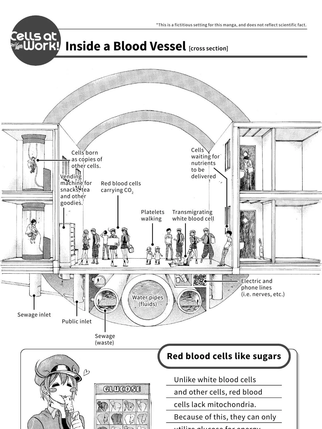 Read Cells at Work! chapter 10 image 46 on Lezhin