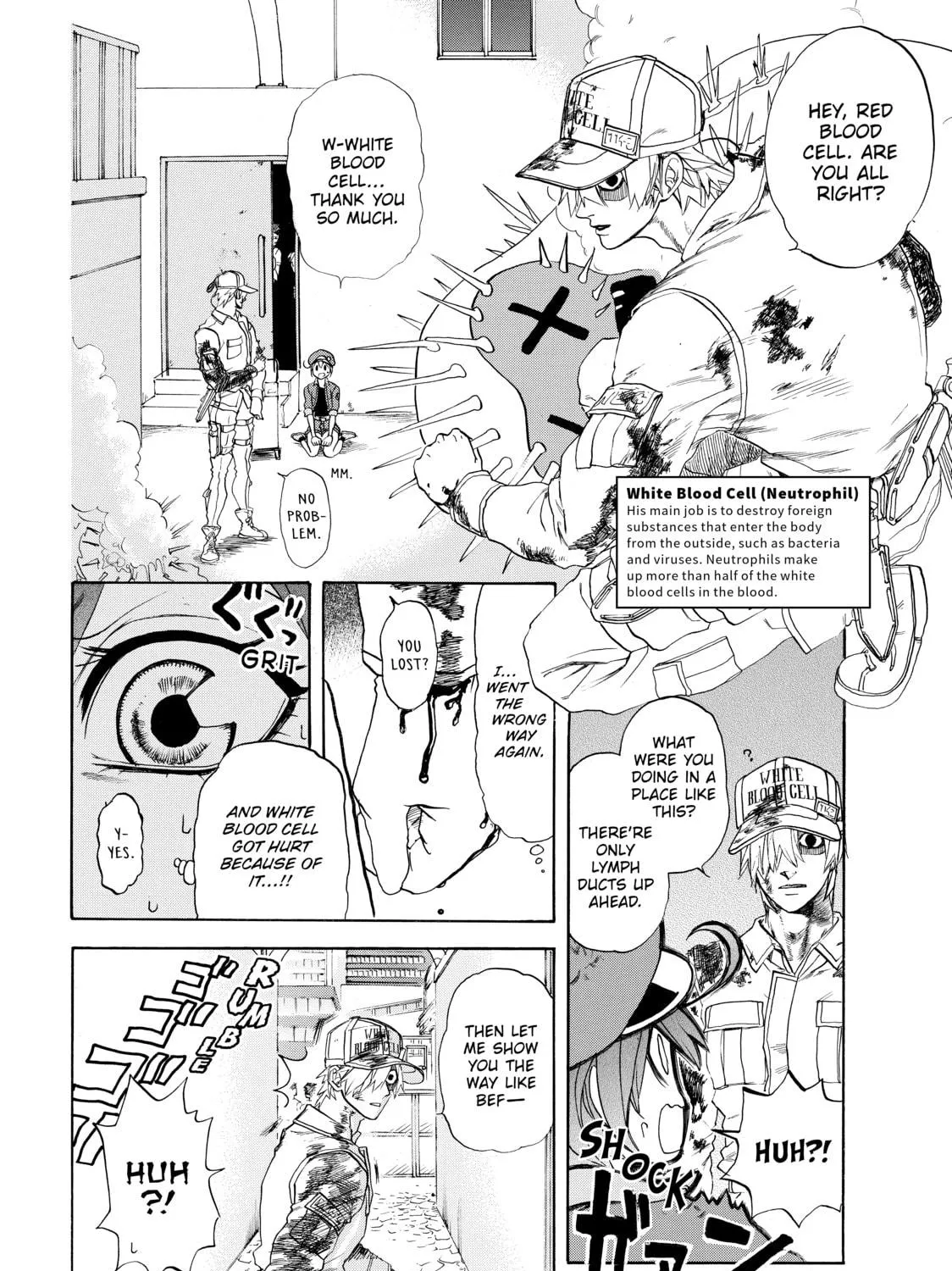 Read Cells at Work! chapter 10 image 8 on Lezhin