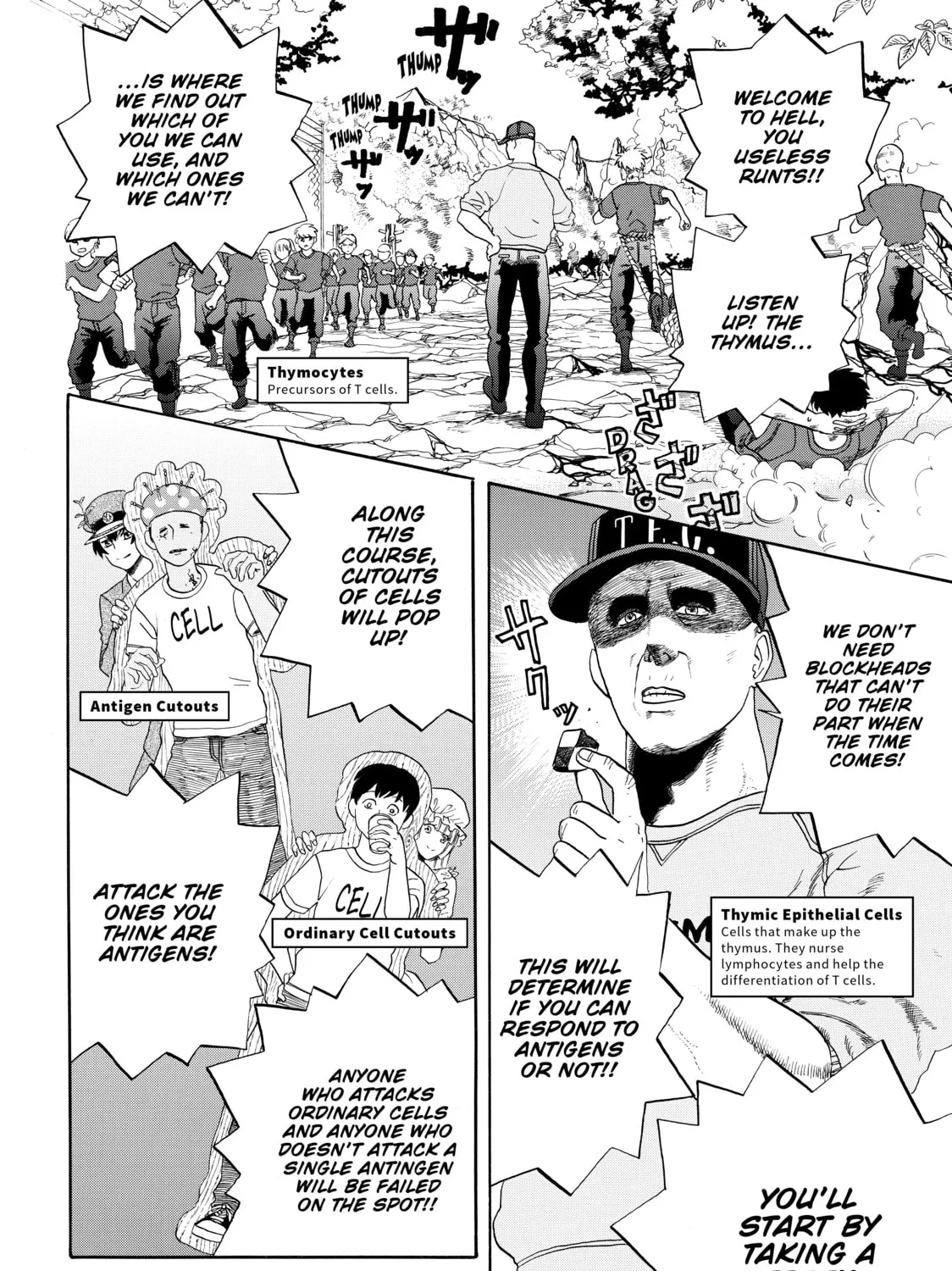 Read Cells at Work! chapter 12 image 14 on Lezhin