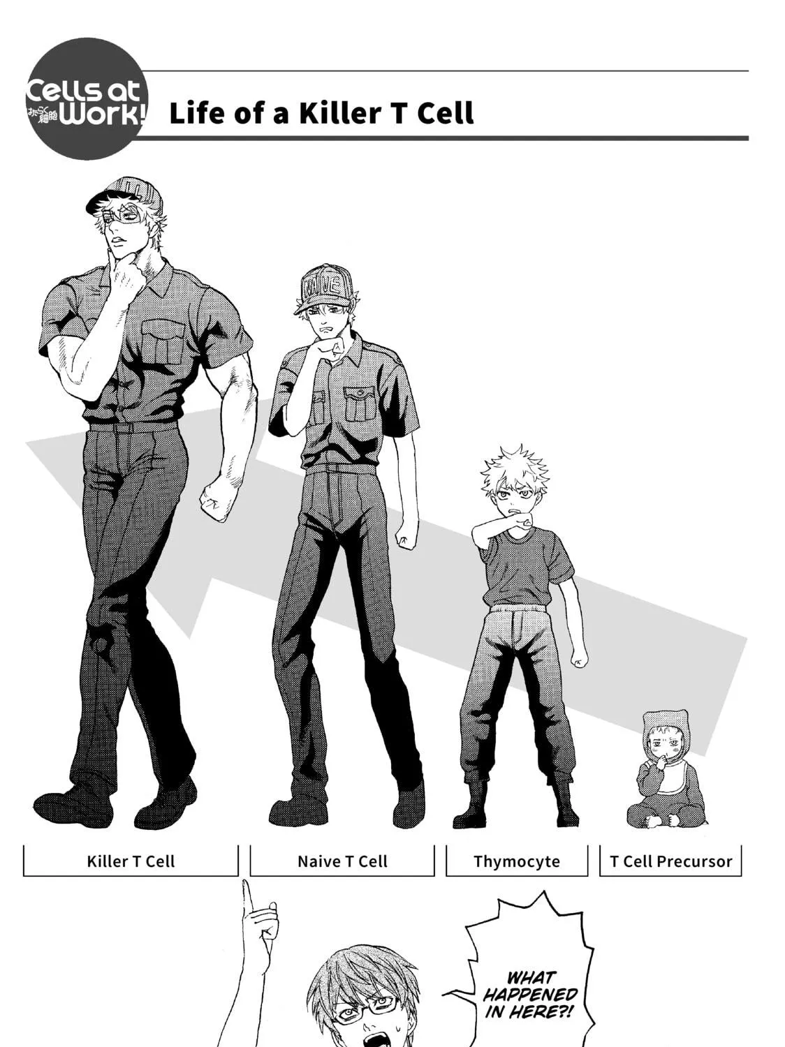Read Cells at Work! chapter 12 image 68 on Lezhin