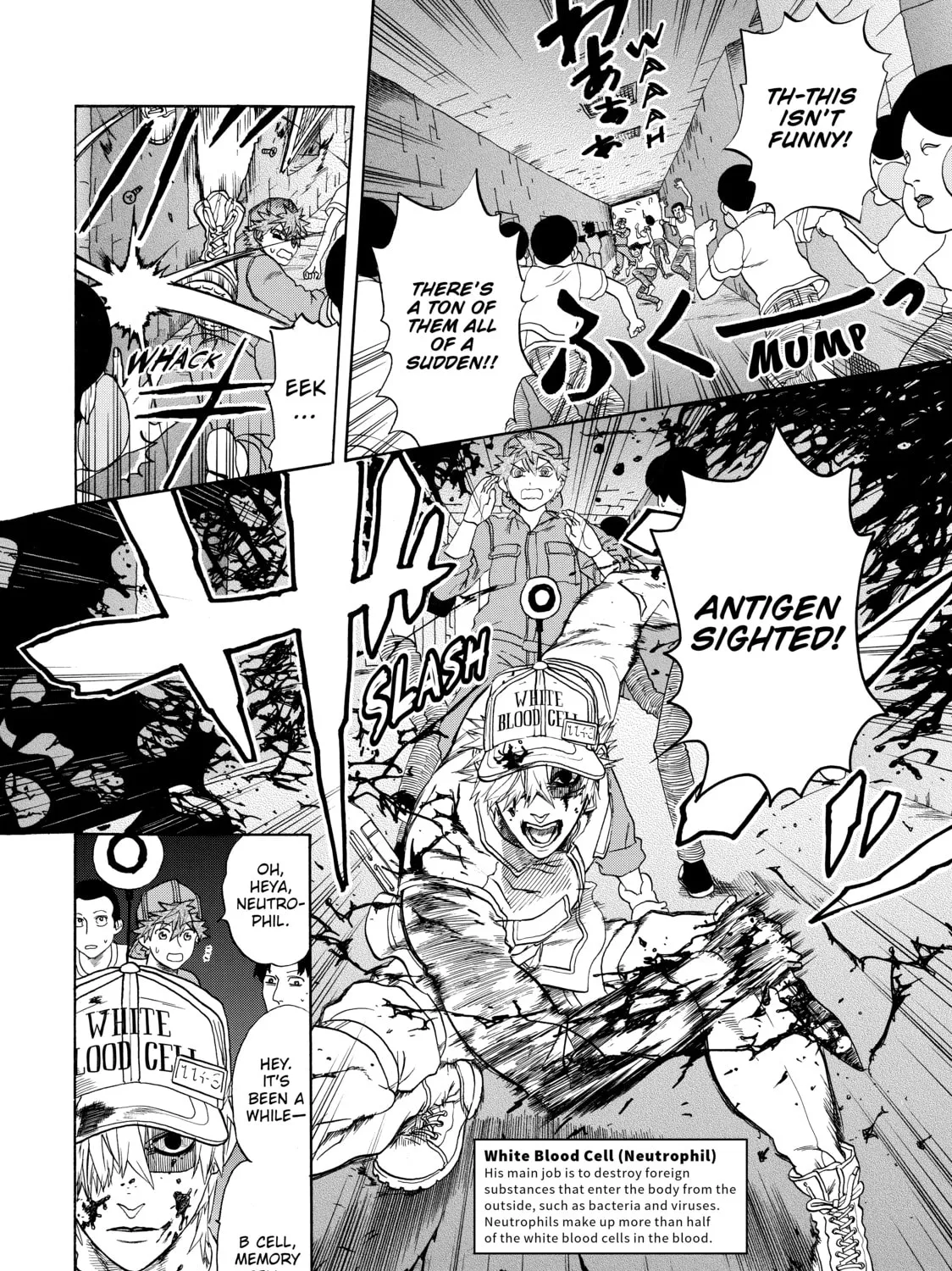 Read Cells at Work! chapter 13 image 14 on Lezhin