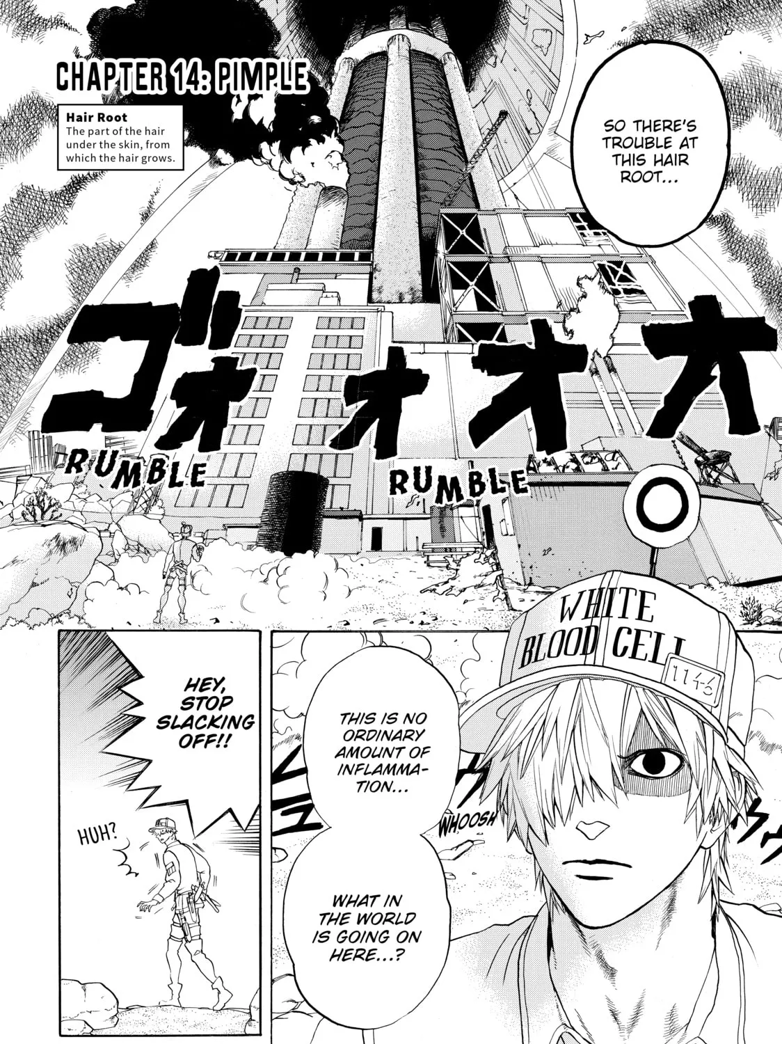 Read Cells at Work! chapter 14 image 2 on Lezhin