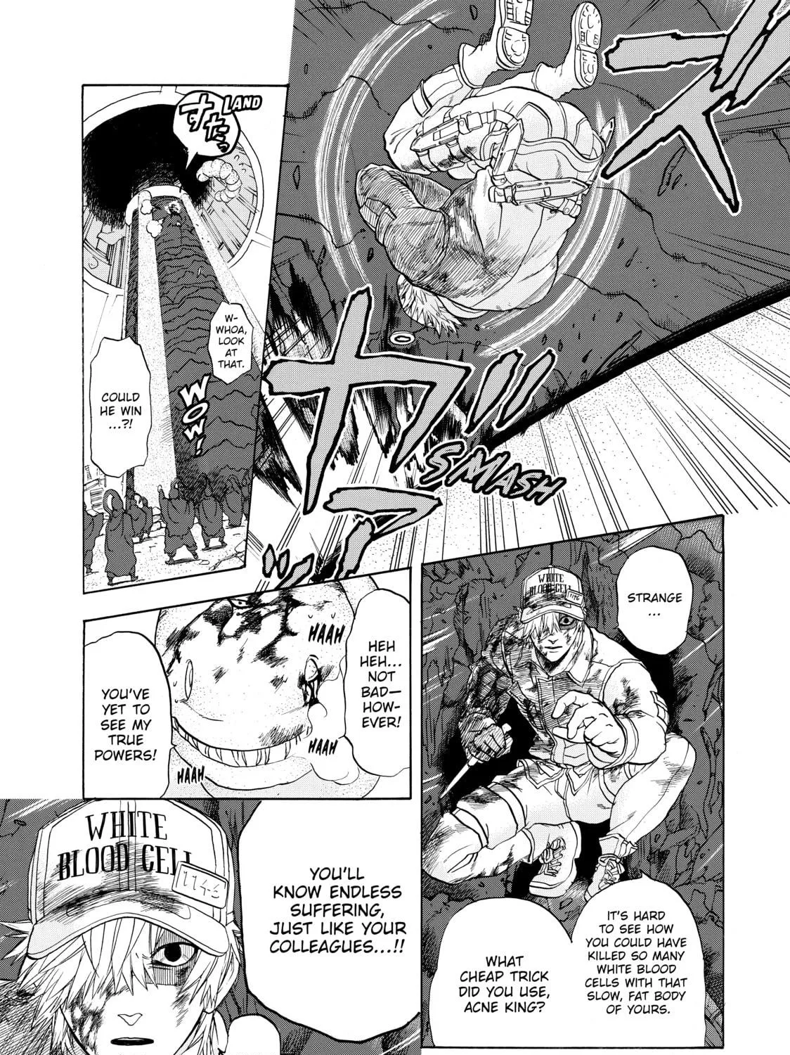 Read Cells at Work! chapter 14 image 28 on Lezhin