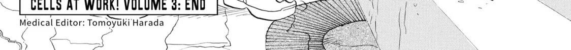 Read Cells at Work! chapter 14 image 61 on Lezhin