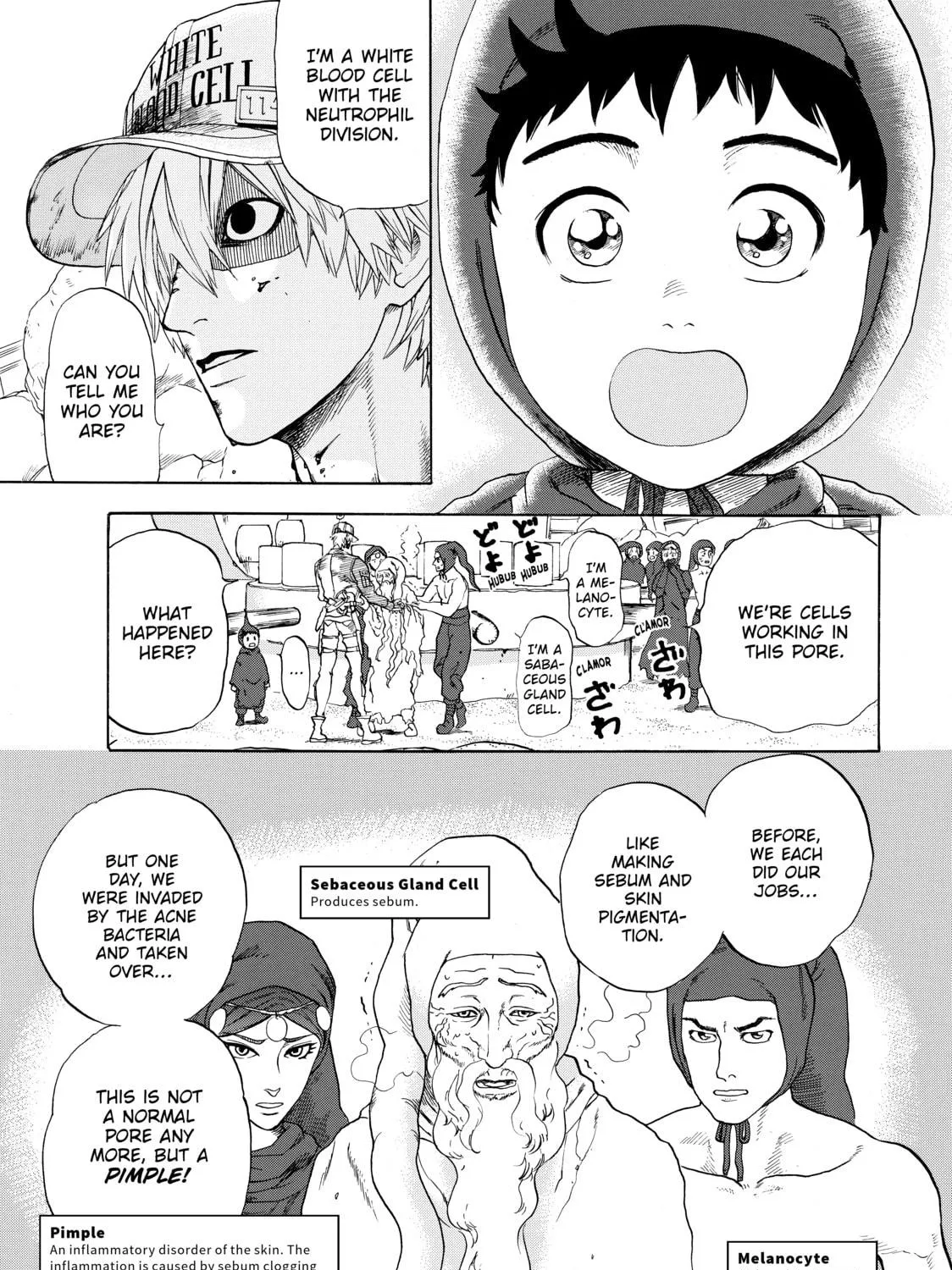 Read Cells at Work! chapter 14 image 8 on Lezhin