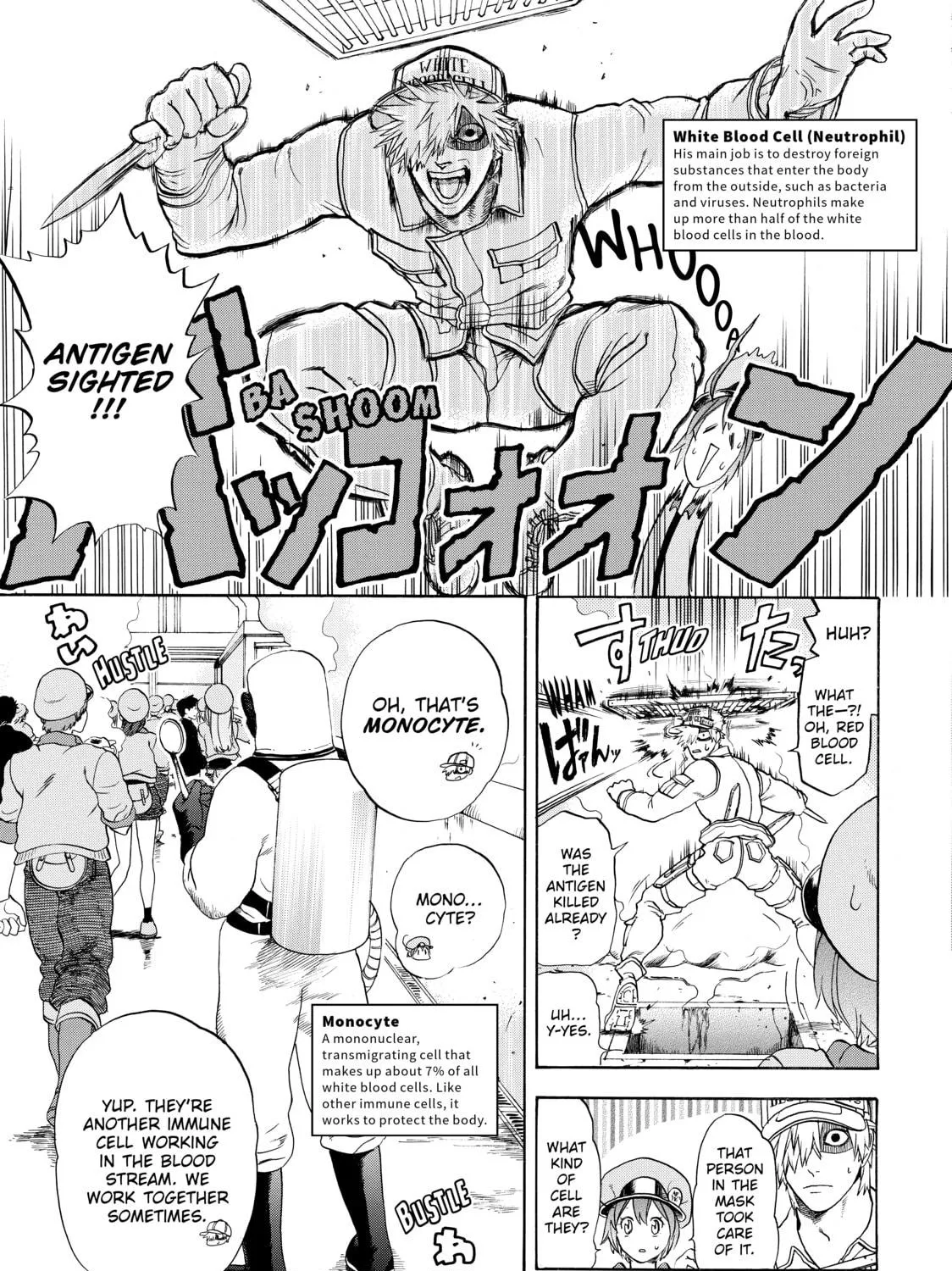 Read Cells at Work! chapter 15 image 10 on Lezhin