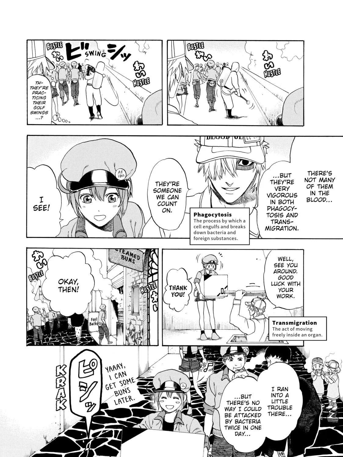 Read Cells at Work! chapter 15 image 12 on Lezhin