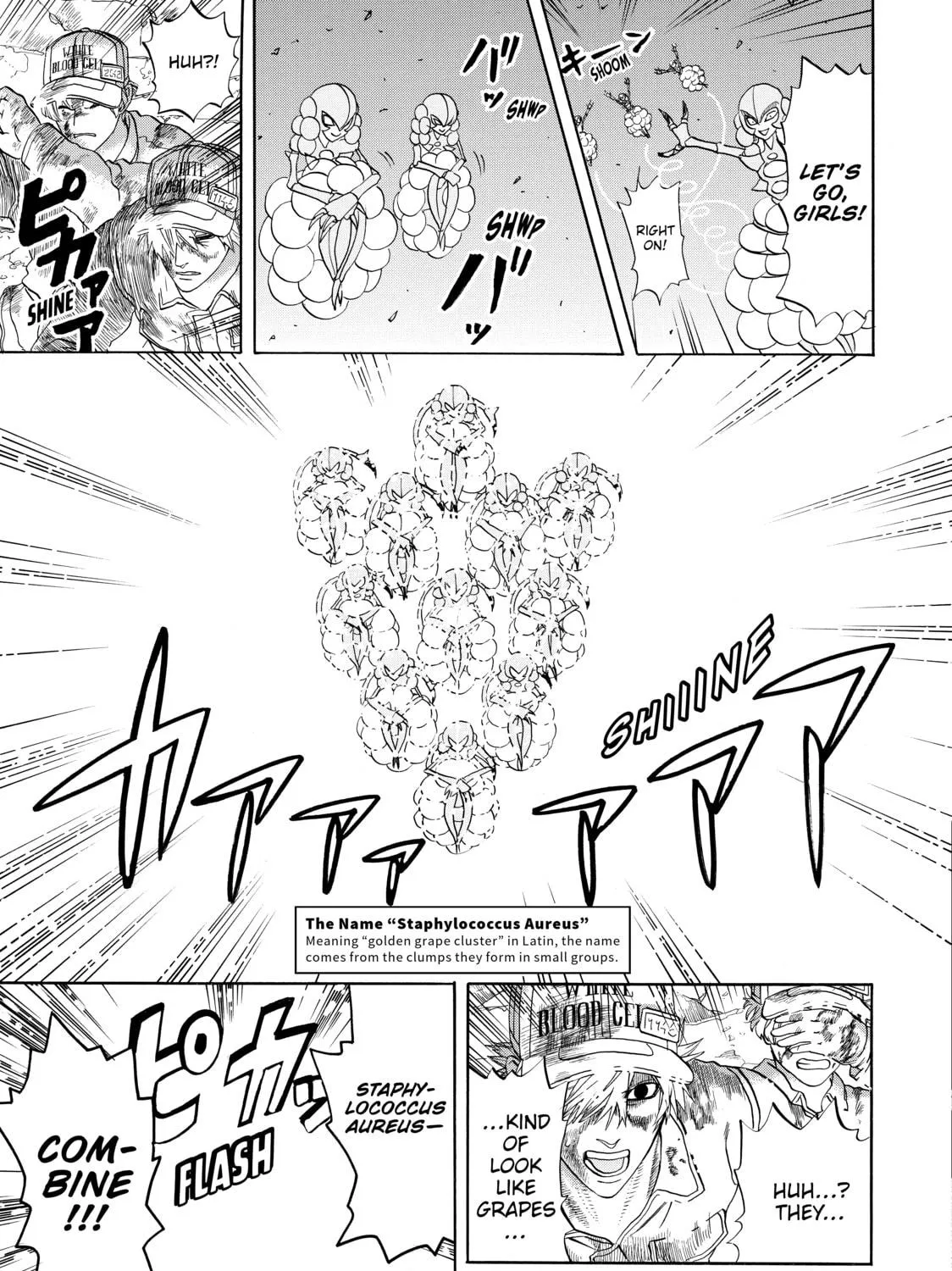 Read Cells at Work! chapter 15 image 22 on Lezhin