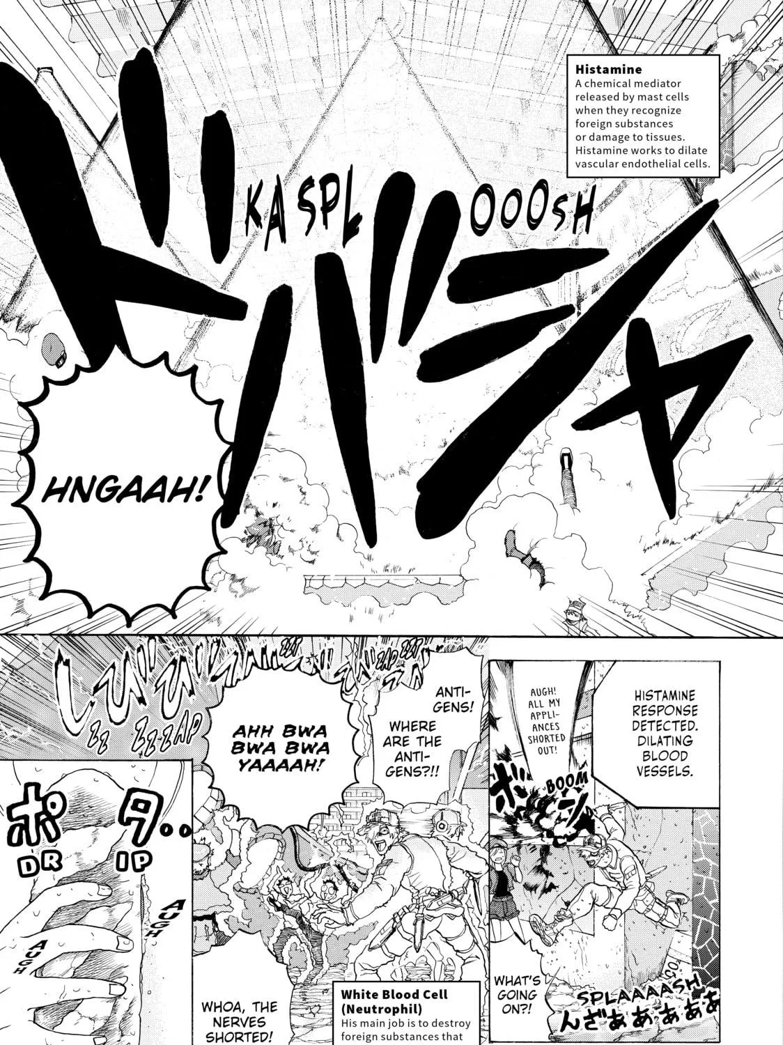 Read Cells at Work! chapter 16 image 4 on Lezhin